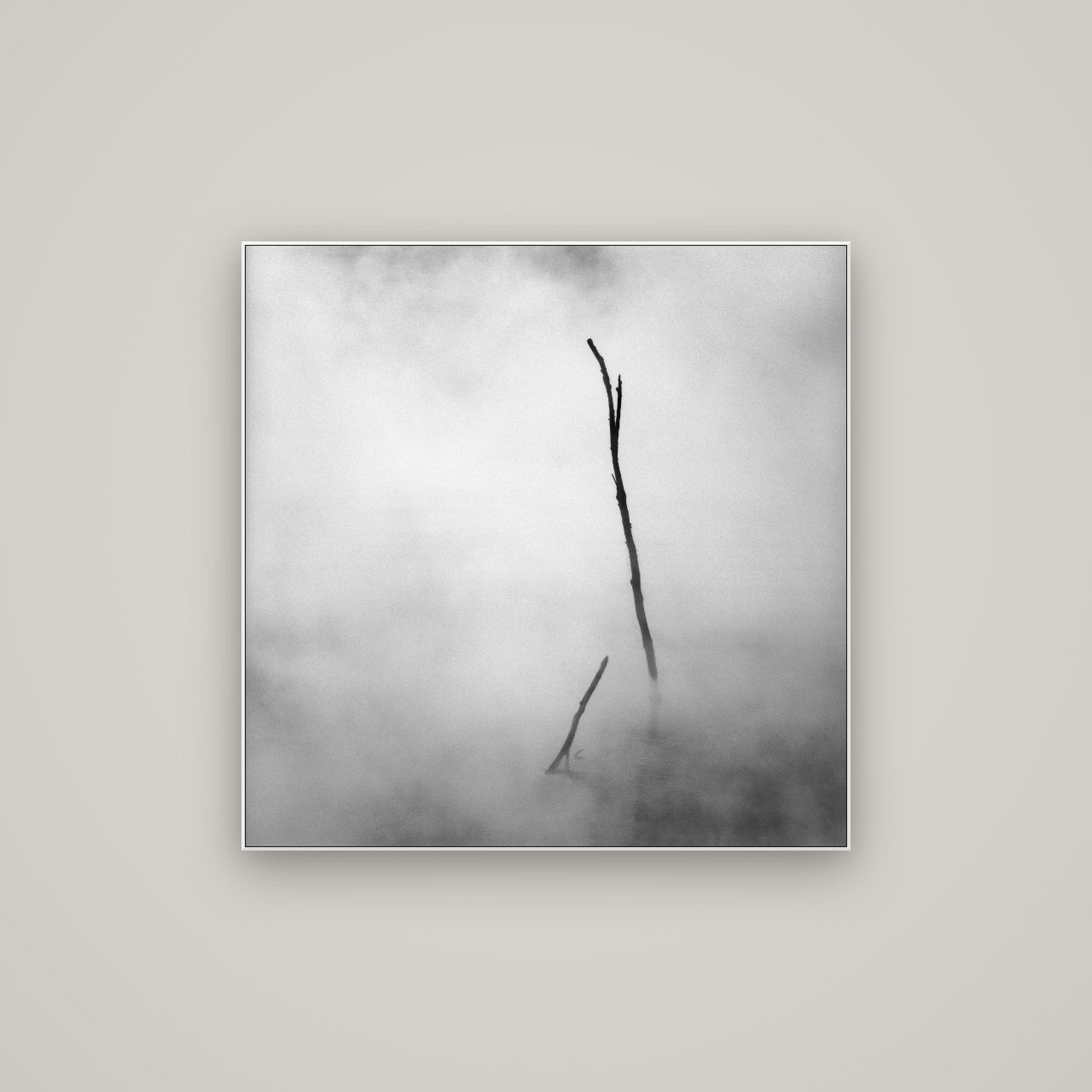 Ghostly Remains, Rotorua — ArtBox White, 80×80 cm. New Zealand fine art wall art by Stephen Milner.