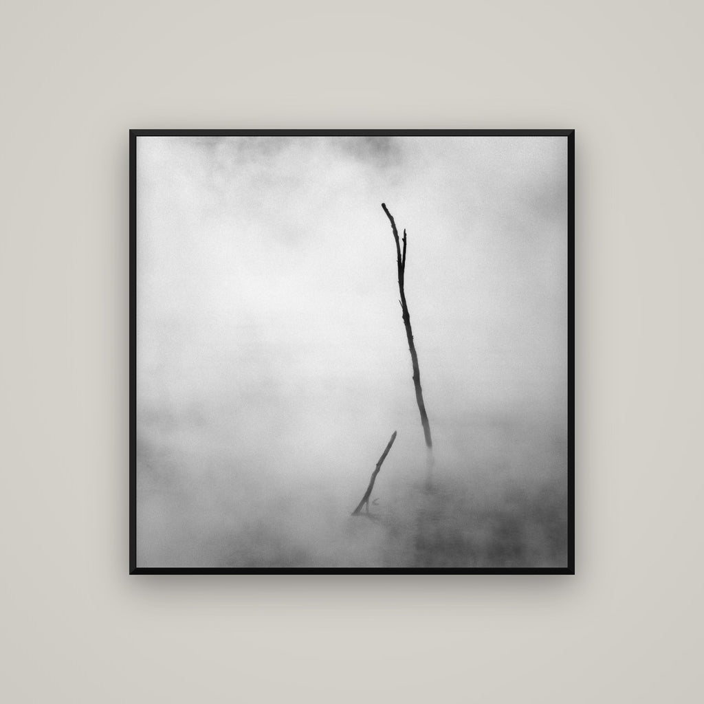 Ghostly Remains, Rotorua — Basel Black Matte, 100×100 cm. New Zealand fine art wall art by Stephen Milner.