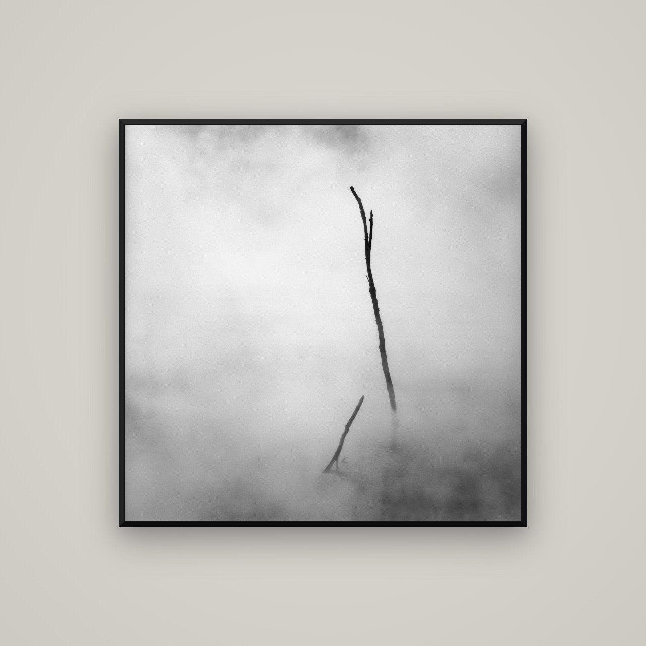 Ghostly Remains, Rotorua — Basel Black, 100×100 cm. New Zealand fine art wall art by Stephen Milner.