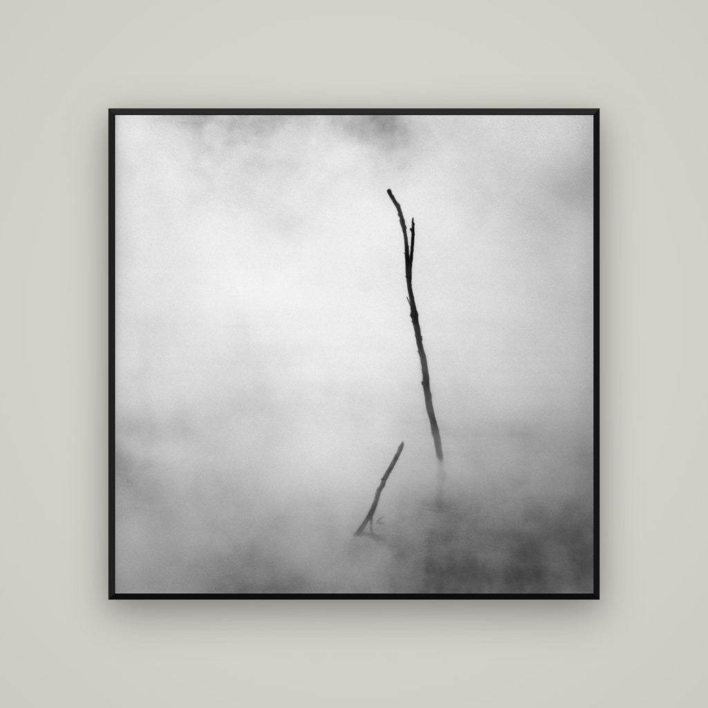 Ghostly Remains, Rotorua — Basel Black Matte, 120×120 cm. New Zealand fine art wall art by Stephen Milner.
