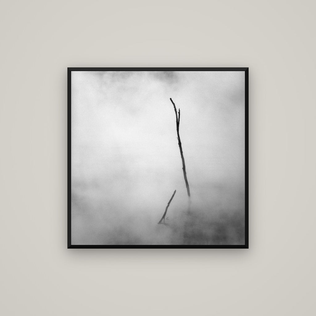 Ghostly Remains, Rotorua — Basel Black Matte, 80×80 cm. New Zealand fine art wall art by Stephen Milner.