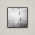 Ghostly Remains, Rotorua — Basel Black, 80×80 cm. New Zealand fine art wall art by Stephen Milner.