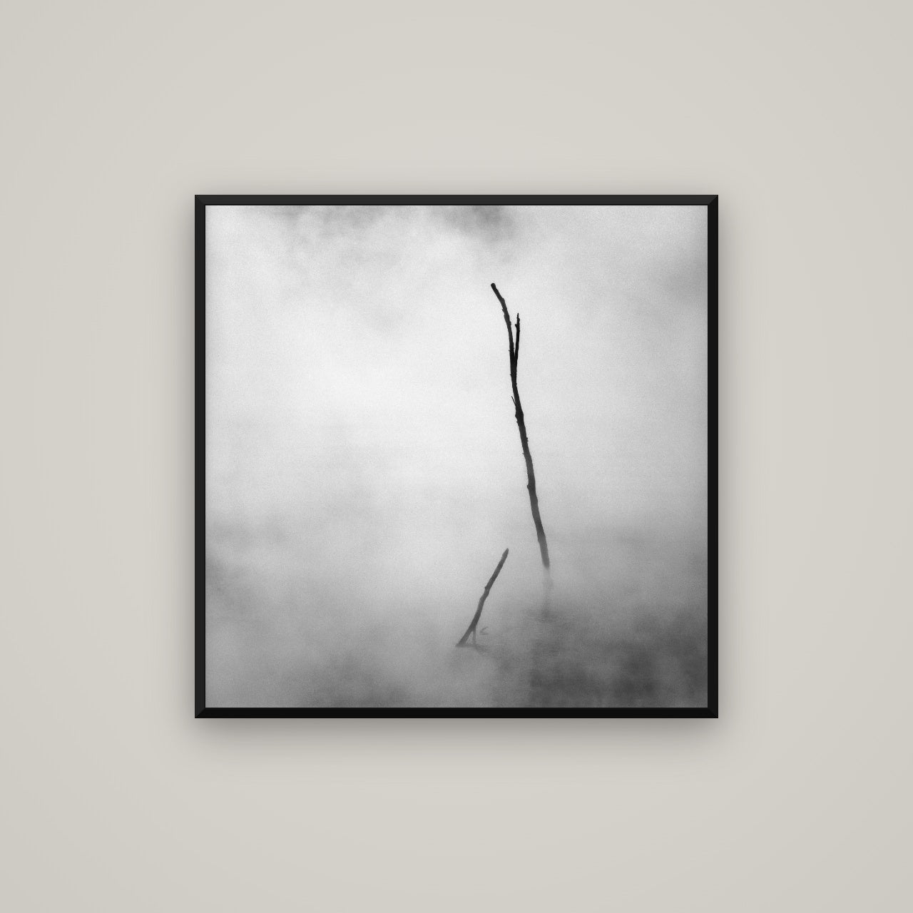 Ghostly Remains, Rotorua — Basel Black, 80×80 cm. New Zealand fine art wall art by Stephen Milner.
