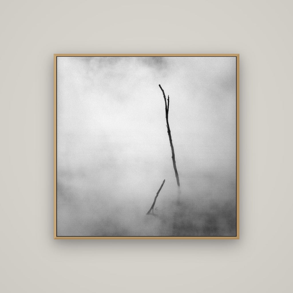 Ghostly Remains, Rotorua, Basel Natural Oak, 100×100 cm. New Zealand fine art wall art by Stephen Milner.