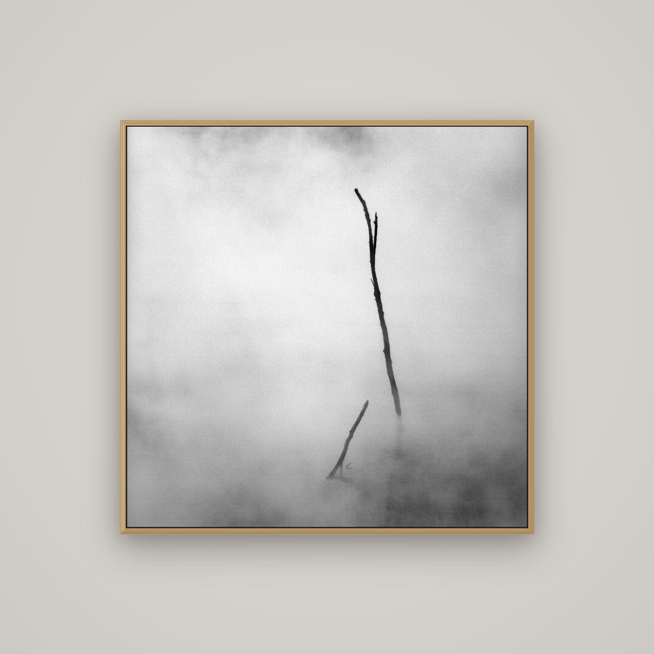 Ghostly Remains, Rotorua, Basel Natural Oak, 100×100 cm. New Zealand fine art wall art by Stephen Milner.