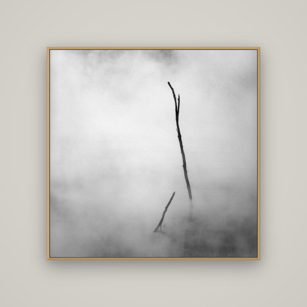 Ghostly Remains, Rotorua, Basel Natural Oak, 120×120 cm. New Zealand fine art wall art by Stephen Milner.