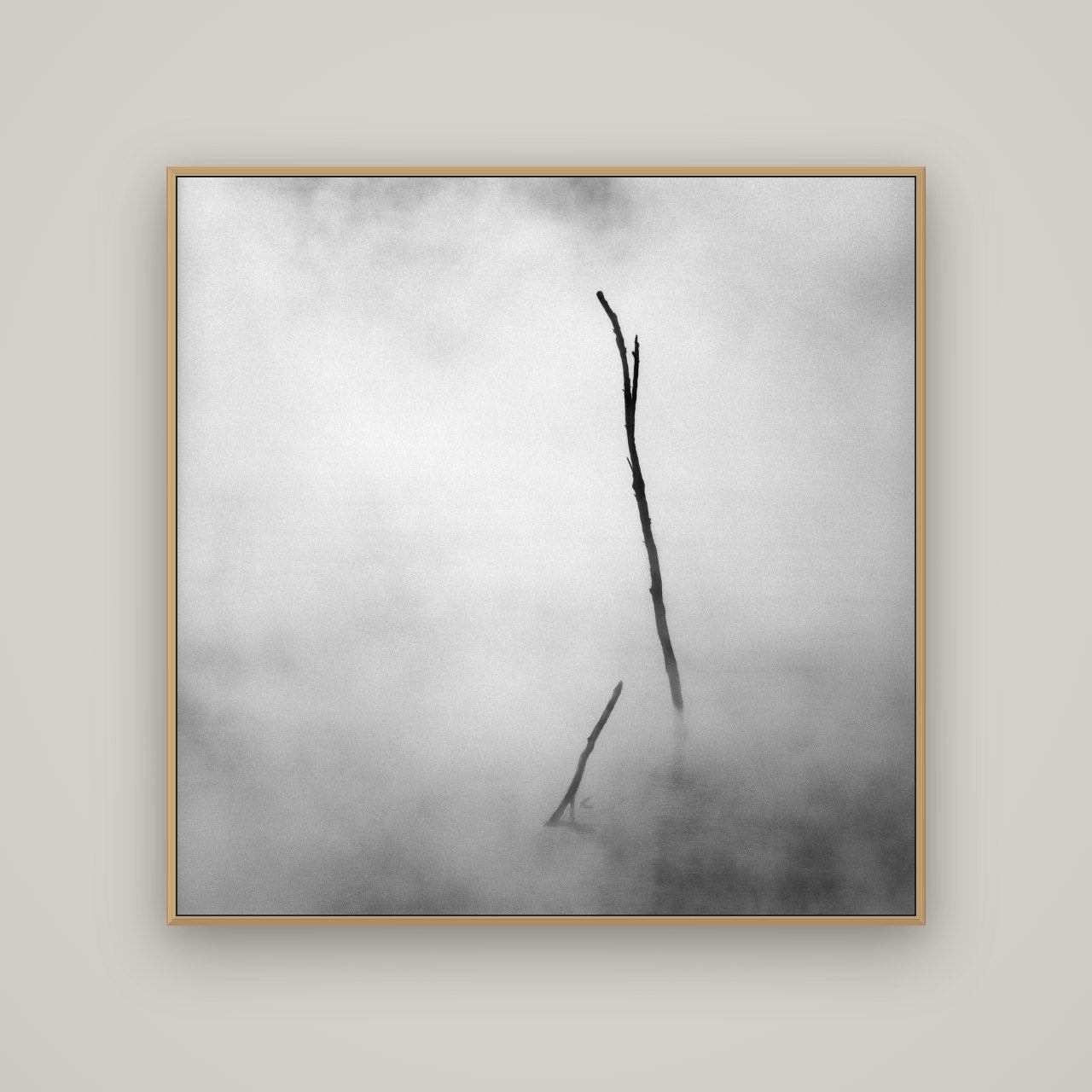 Ghostly Remains, Rotorua, Basel Natural Oak, 120×120 cm. New Zealand fine art wall art by Stephen Milner.