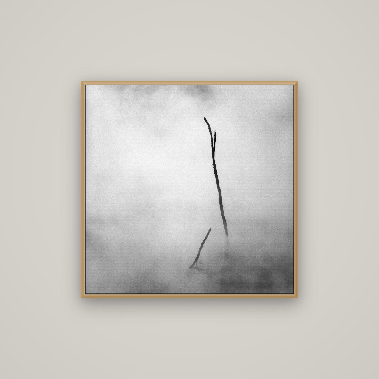 Ghostly Remains, Rotorua, Basel Natural Oak, 80×80 cm. New Zealand fine art wall art by Stephen Milner.