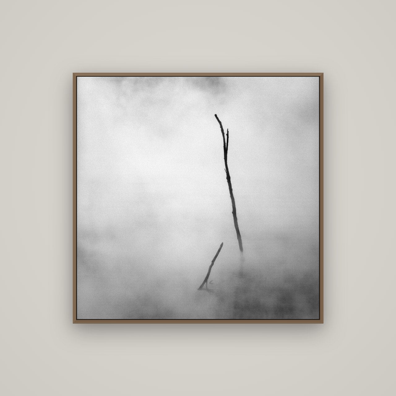 Ghostly Remains, Rotorua, Basel Walnut, 100×100 cm. New Zealand fine art wall art by Stephen Milner.