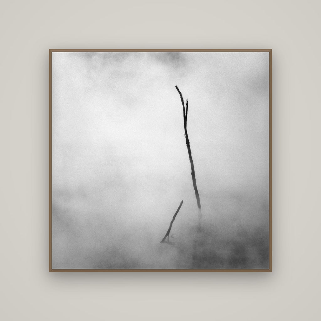 Ghostly Remains, Rotorua, Basel Walnut, 120×120 cm. New Zealand fine art wall art by Stephen Milner.