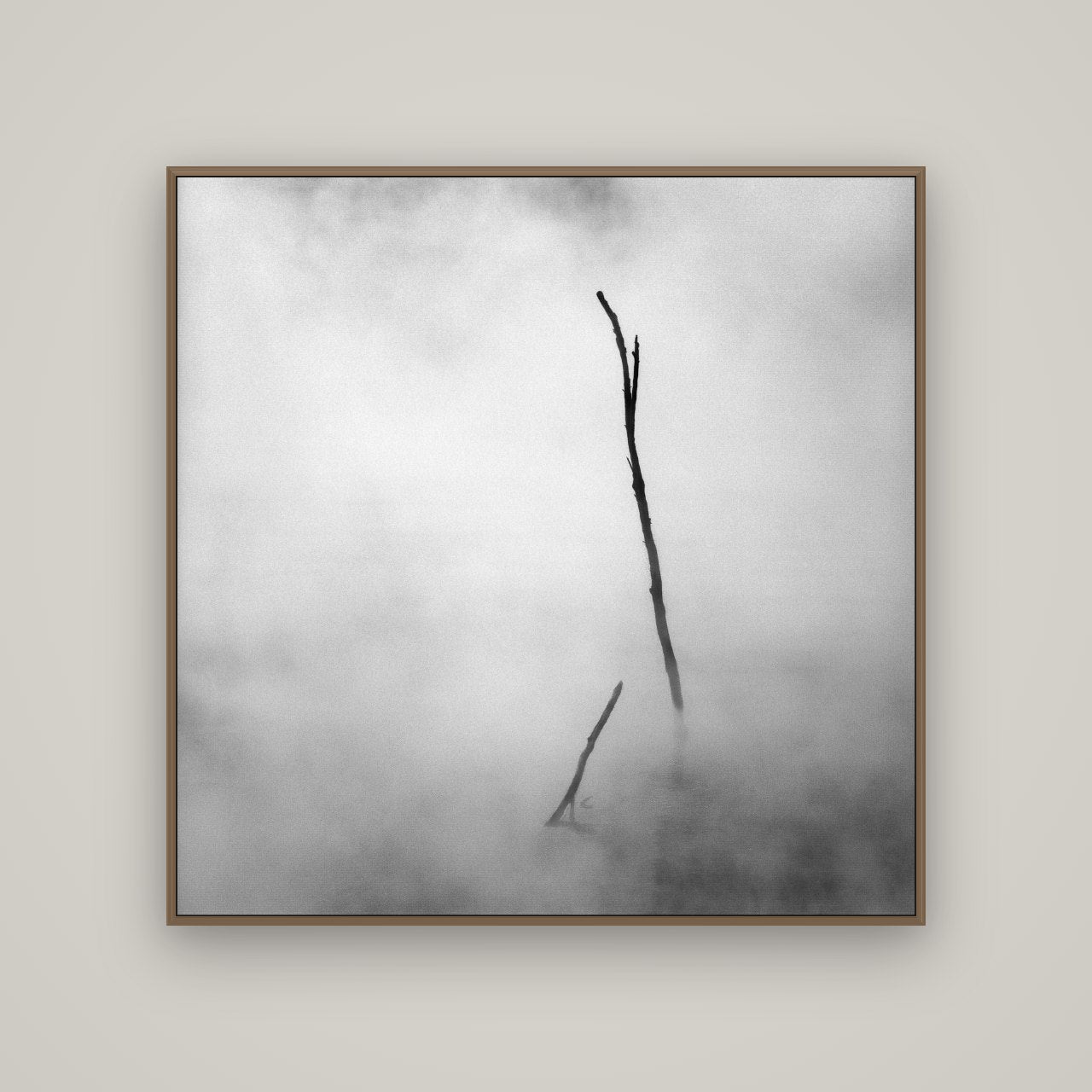 Ghostly Remains, Rotorua, Basel Walnut, 120×120 cm. New Zealand fine art wall art by Stephen Milner.