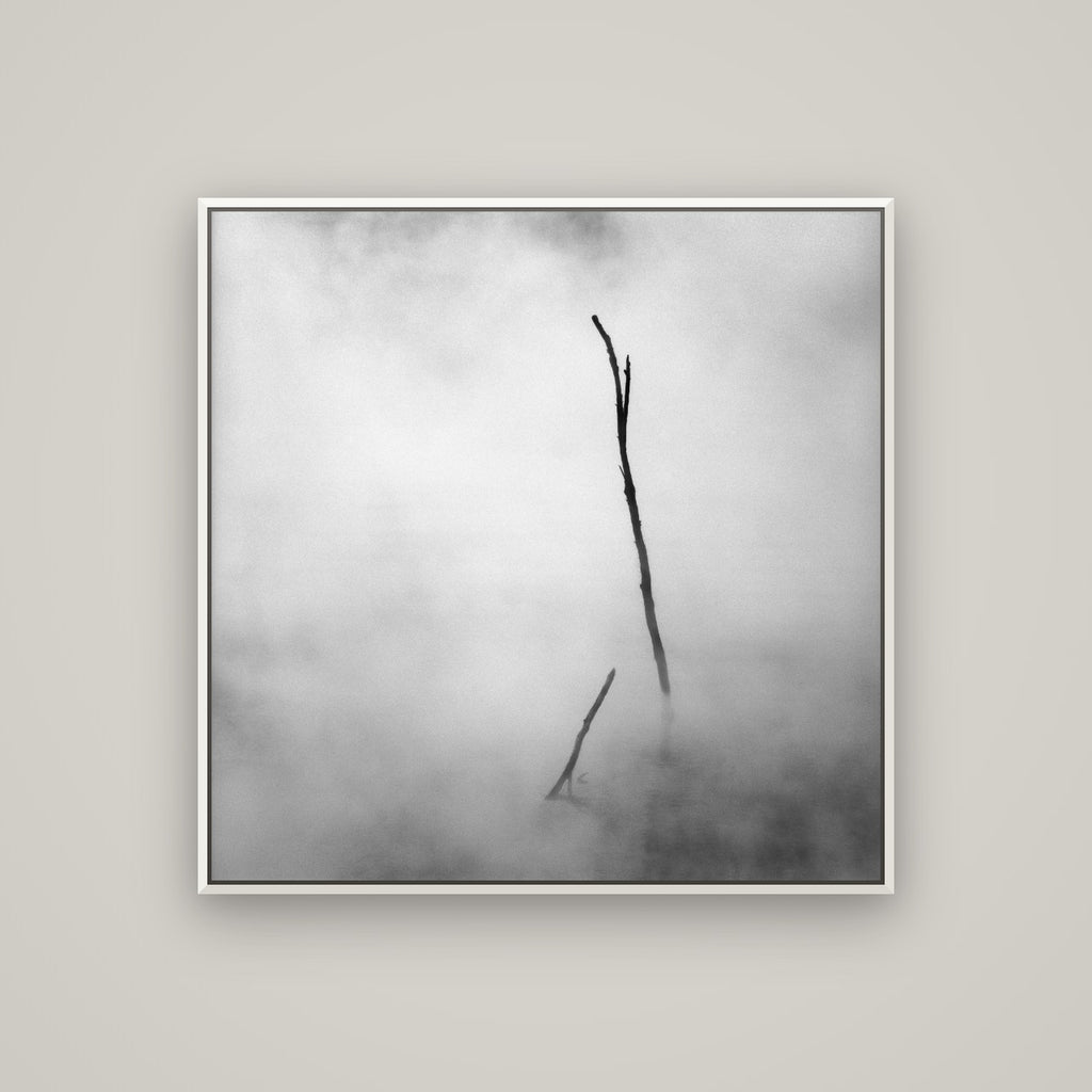 Ghostly Remains, Rotorua — Basel White, 100×100 cm. New Zealand fine art wall art by Stephen Milner.