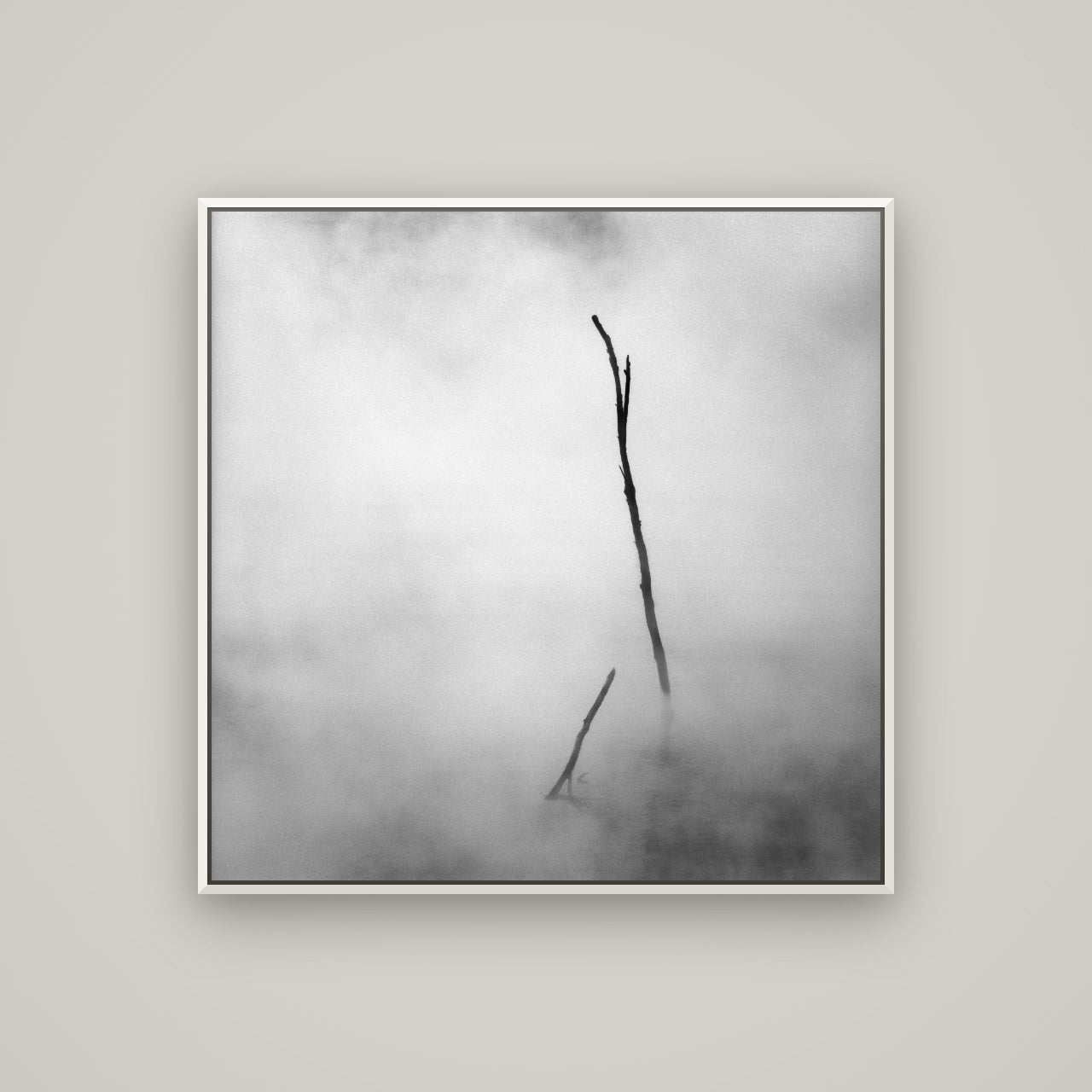Ghostly Remains, Rotorua — Basel White, 100×100 cm. New Zealand fine art wall art by Stephen Milner.