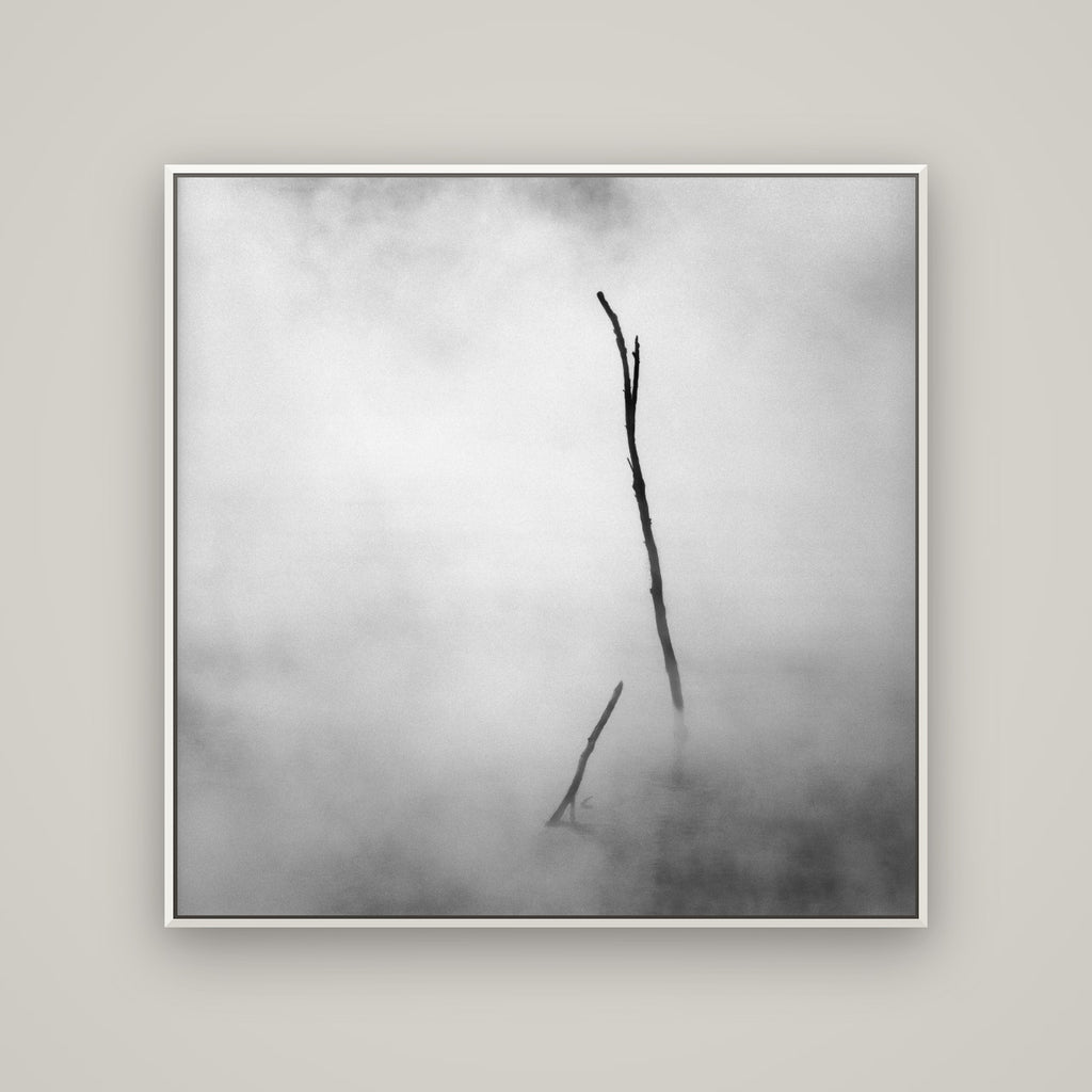 Ghostly Remains, Rotorua — Basel White, 120×120 cm. New Zealand fine art wall art by Stephen Milner.