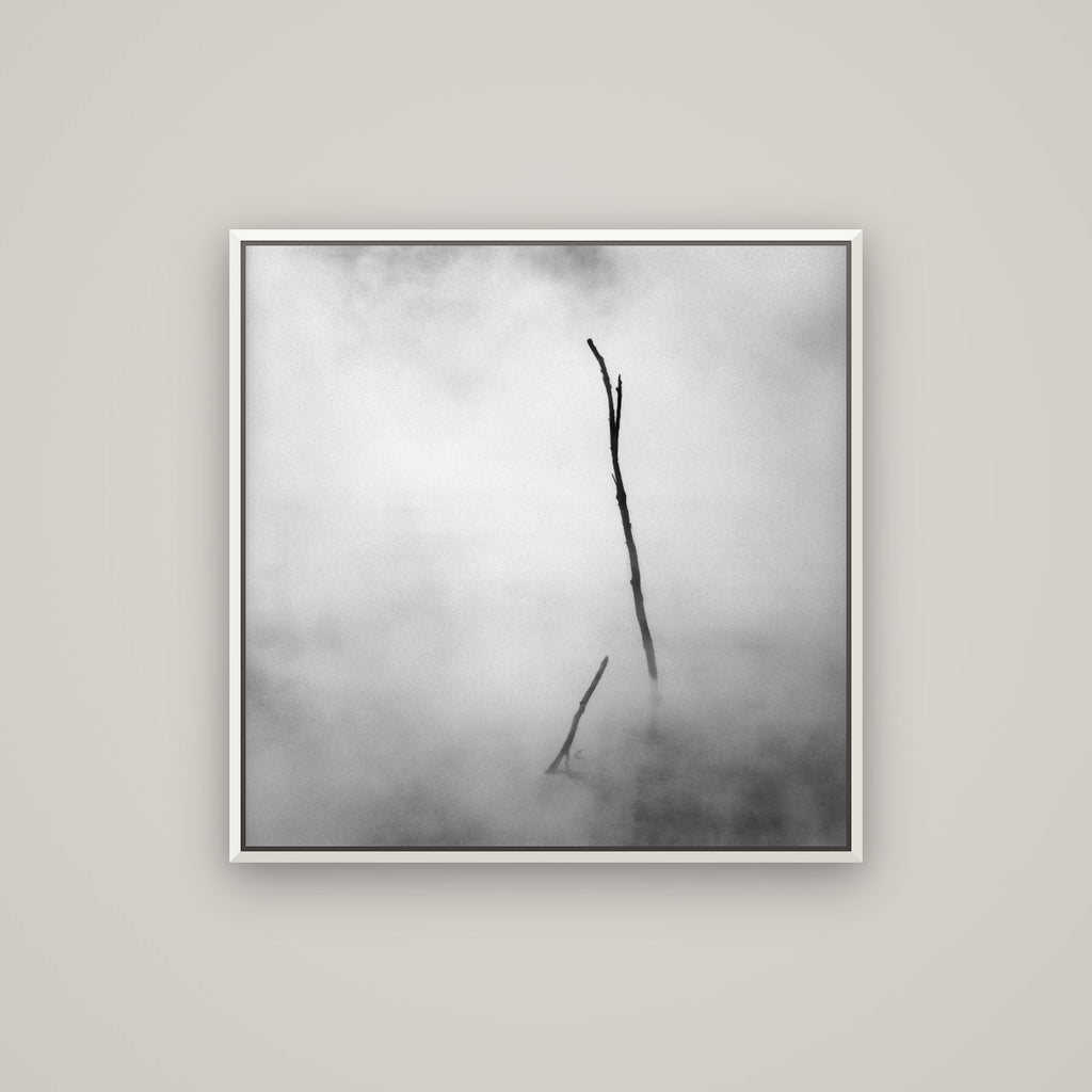 Ghostly Remains, Rotorua — Basel White, 80×80 cm. New Zealand fine art wall art by Stephen Milner.