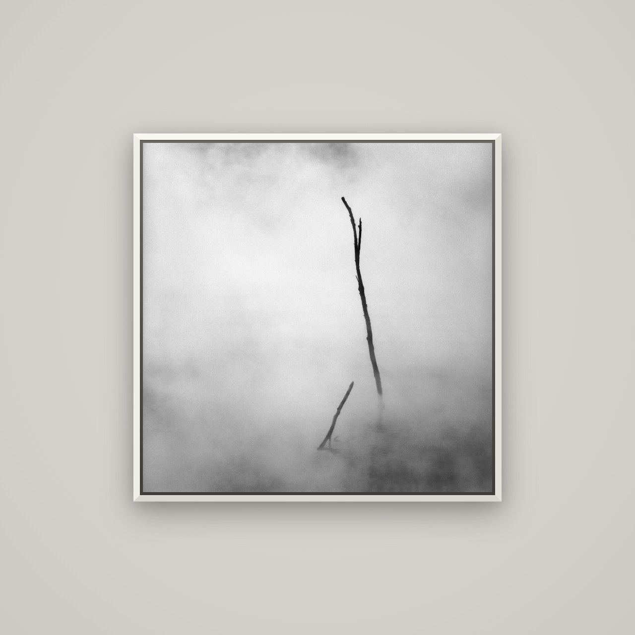 Ghostly Remains, Rotorua — Basel White, 80×80 cm. New Zealand fine art wall art by Stephen Milner.