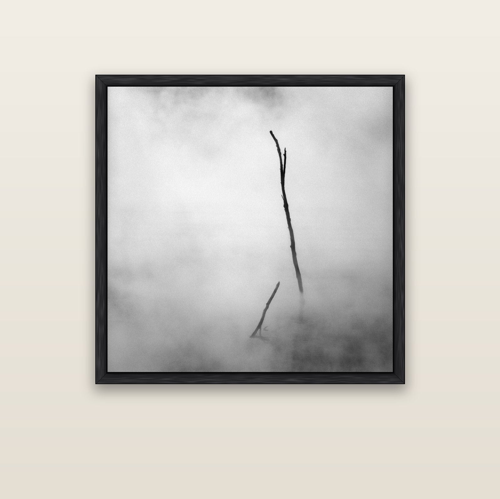 Ghostly Remains, Rotorua — black float frame canvas, 102 × 102 cm. New Zealand fine art landscape wall art by Stephen Milner.