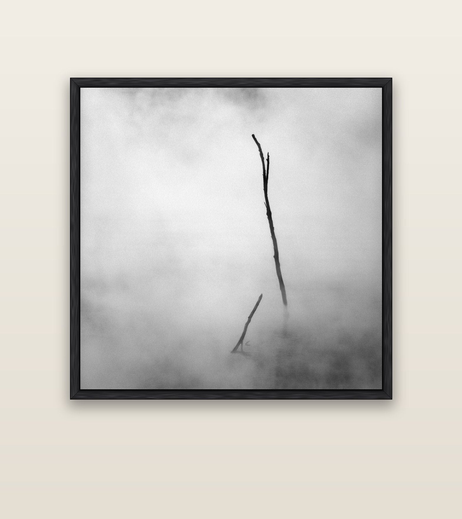 Ghostly Remains, Rotorua — black float frame canvas, 127 × 127 cm. New Zealand fine art landscape wall art by Stephen Milner.