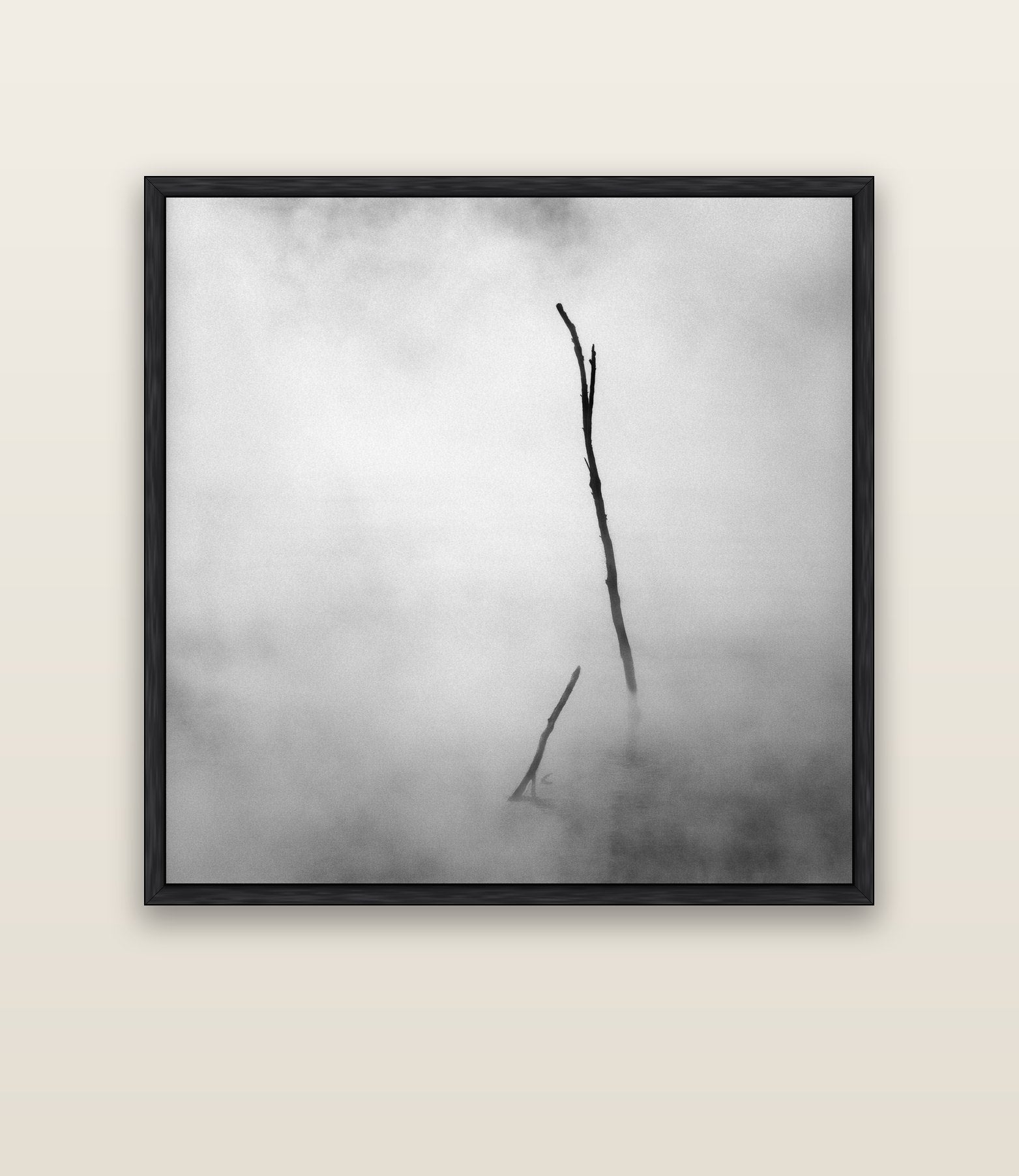 Ghostly Remains, Rotorua — black float frame canvas, 133 × 133 cm. New Zealand fine art landscape wall art by Stephen Milner.