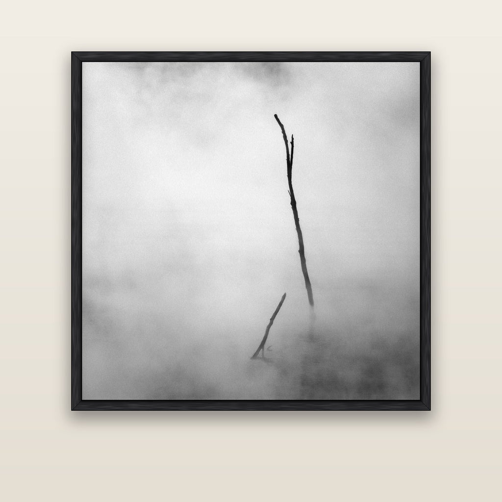 Ghostly Remains, Rotorua — black float frame canvas, 133 × 133 cm. New Zealand fine art landscape wall art by Stephen Milner.