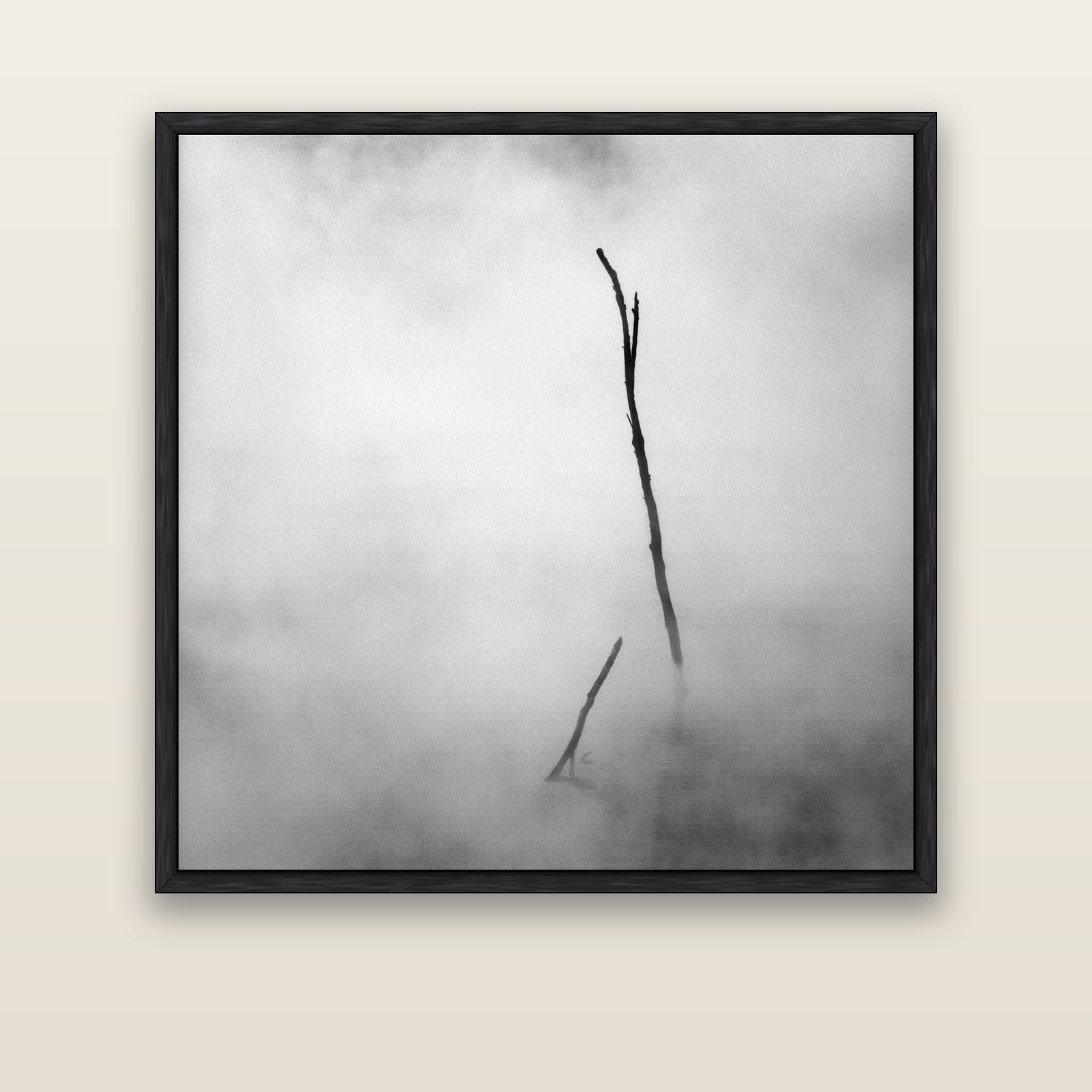 Ghostly Remains, Rotorua — black float frame canvas, 133 × 133 cm. New Zealand fine art landscape wall art by Stephen Milner.