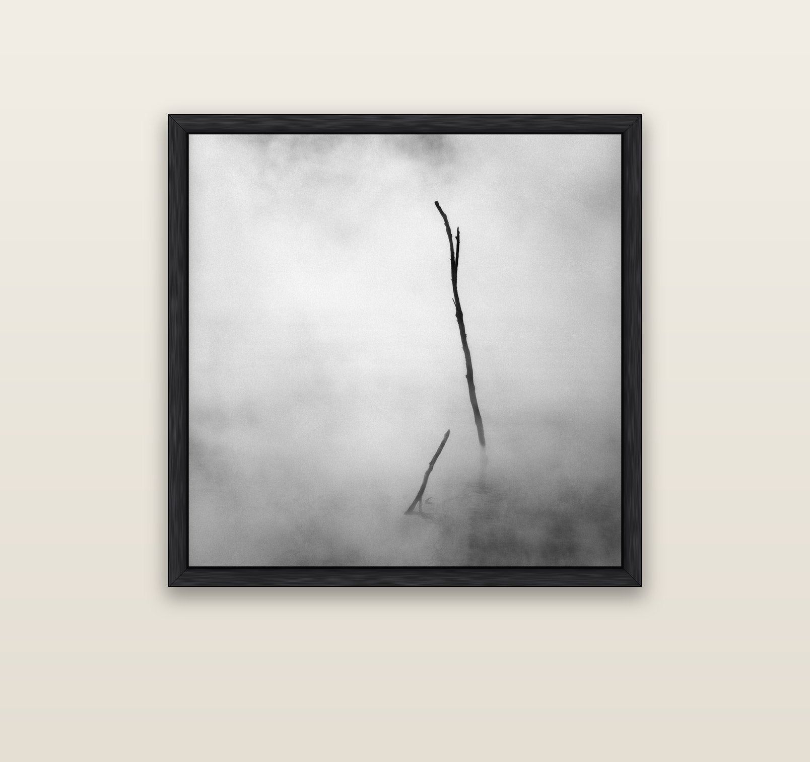 Ghostly Remains, Rotorua — black float frame canvas, 91 × 91 cm. New Zealand fine art landscape wall art by Stephen Milner.