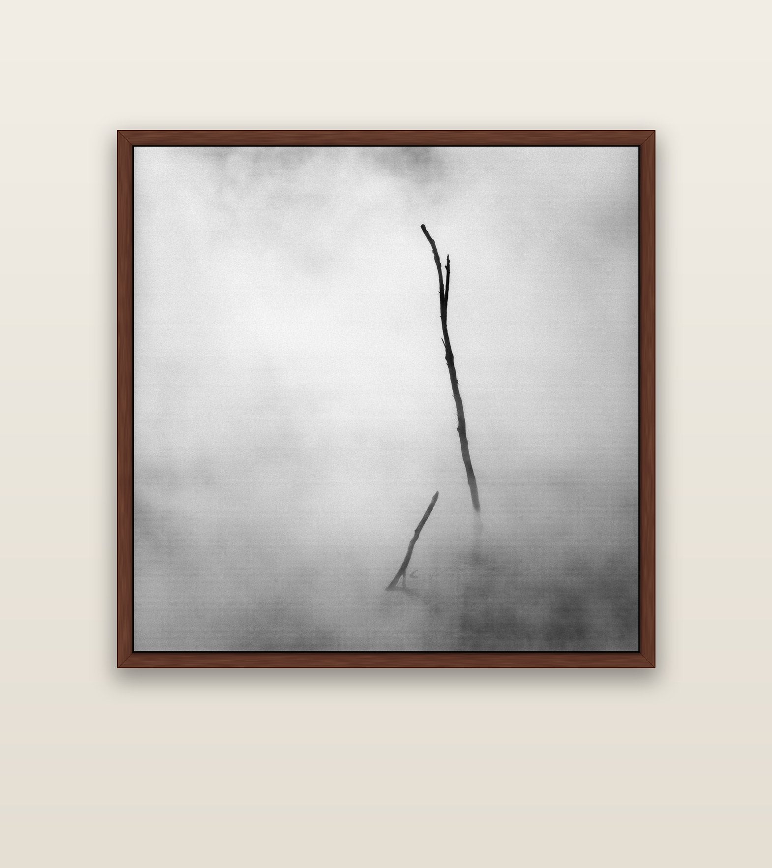 Ghostly Remains, Rotorua — brown float frame canvas, 127 × 127 cm. New Zealand fine art landscape wall art by Stephen Milner.