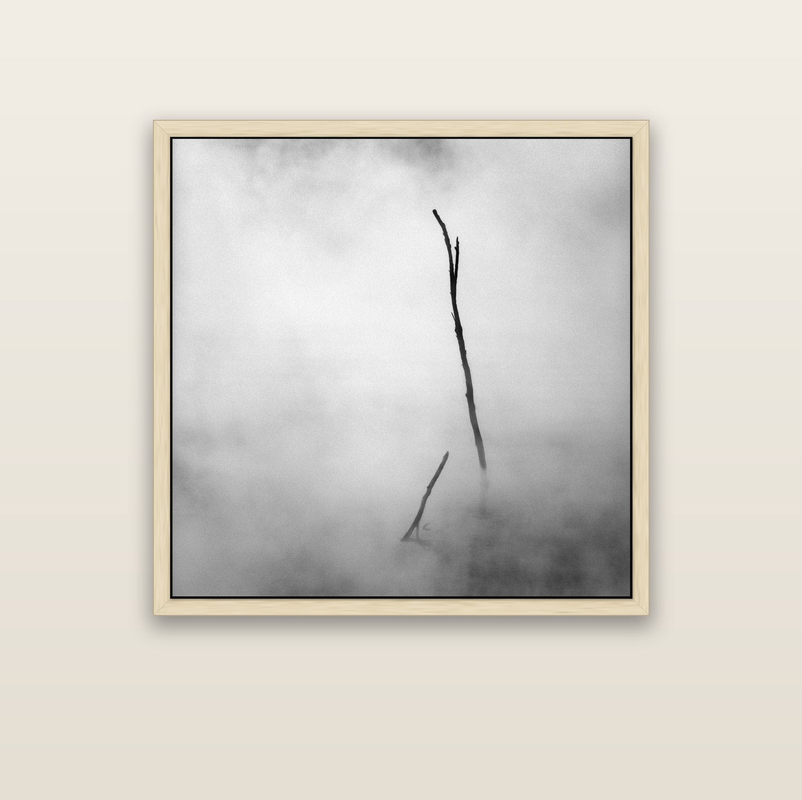 Ghostly Remains, Rotorua — natural float frame canvas, 102 × 102 cm. New Zealand fine art landscape wall art by Stephen Milner.