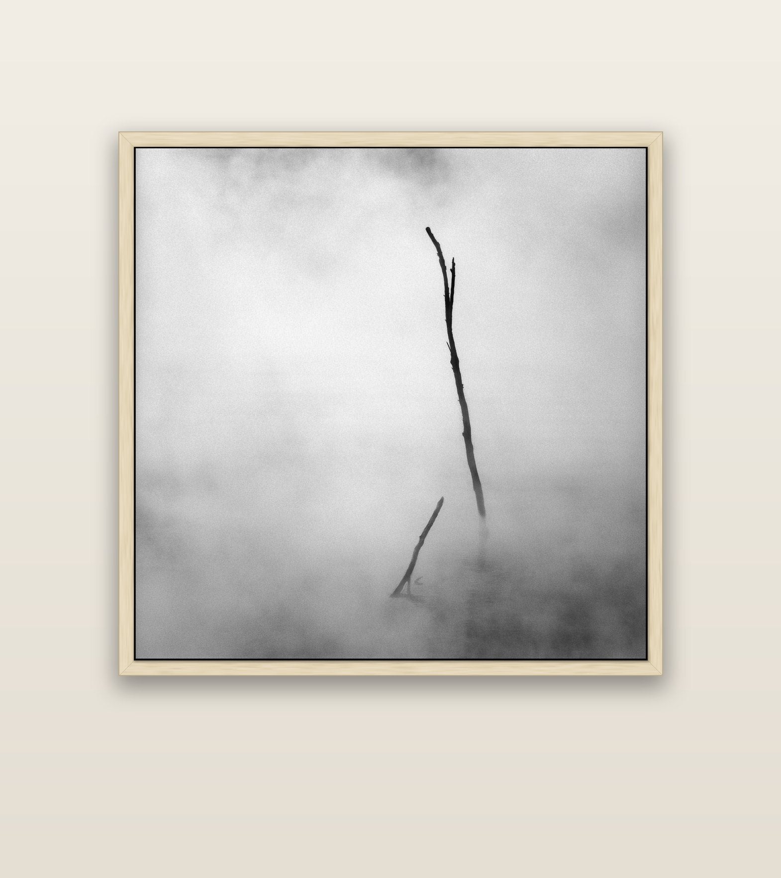 Ghostly Remains, Rotorua — natural float frame canvas, 127 × 127 cm. New Zealand fine art landscape wall art by Stephen Milner.