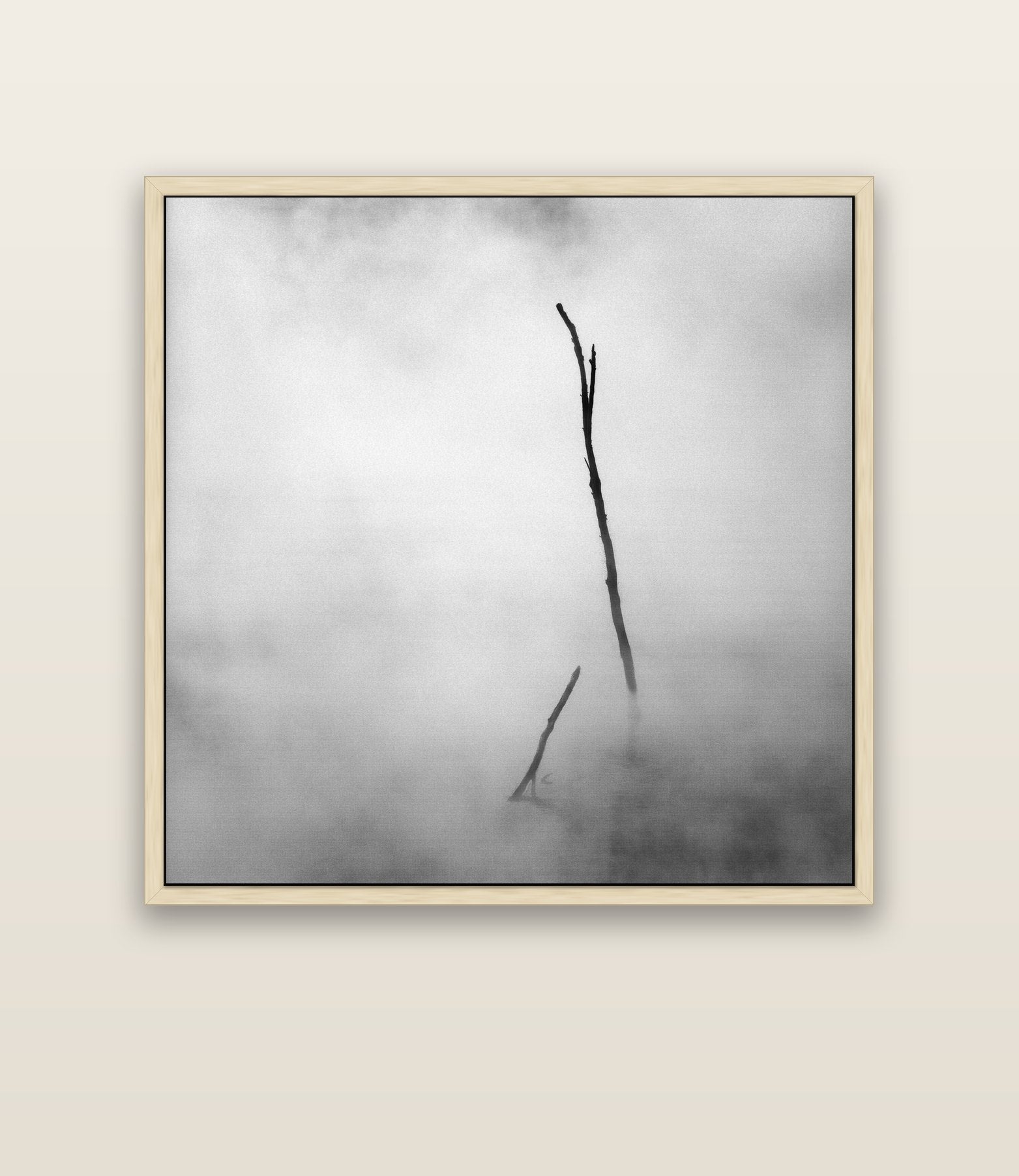 Ghostly Remains, Rotorua — natural float frame canvas, 133 × 133 cm. New Zealand fine art landscape wall art by Stephen Milner.