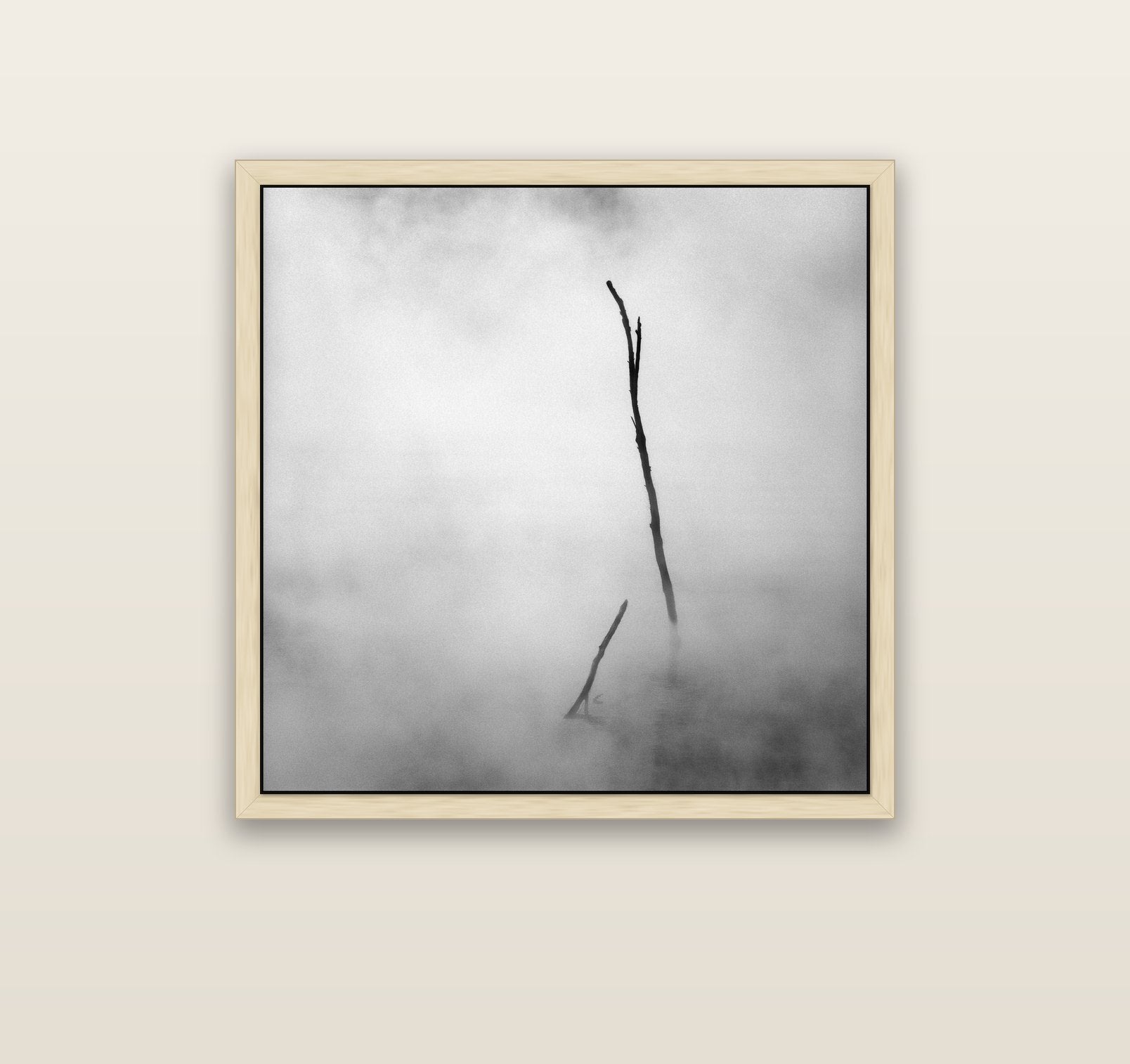 Ghostly Remains, Rotorua — natural float frame canvas, 91 × 91 cm. New Zealand fine art landscape wall art by Stephen Milner.