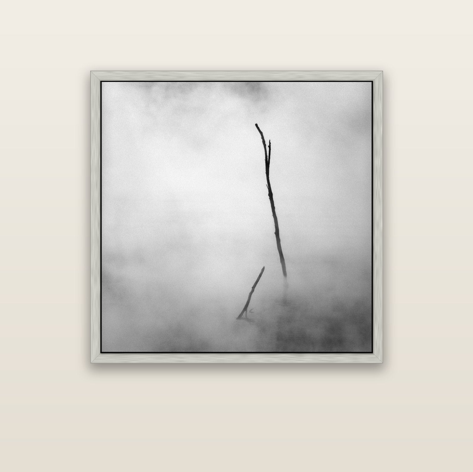 Ghostly Remains, Rotorua — silver float frame canvas, 102 × 102 cm. New Zealand fine art landscape wall art by Stephen Milner.