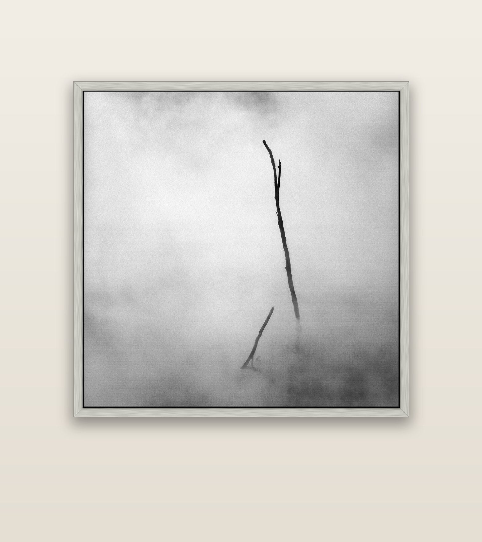 Ghostly Remains, Rotorua — silver float frame canvas, 127 × 127 cm. New Zealand fine art landscape wall art by Stephen Milner.