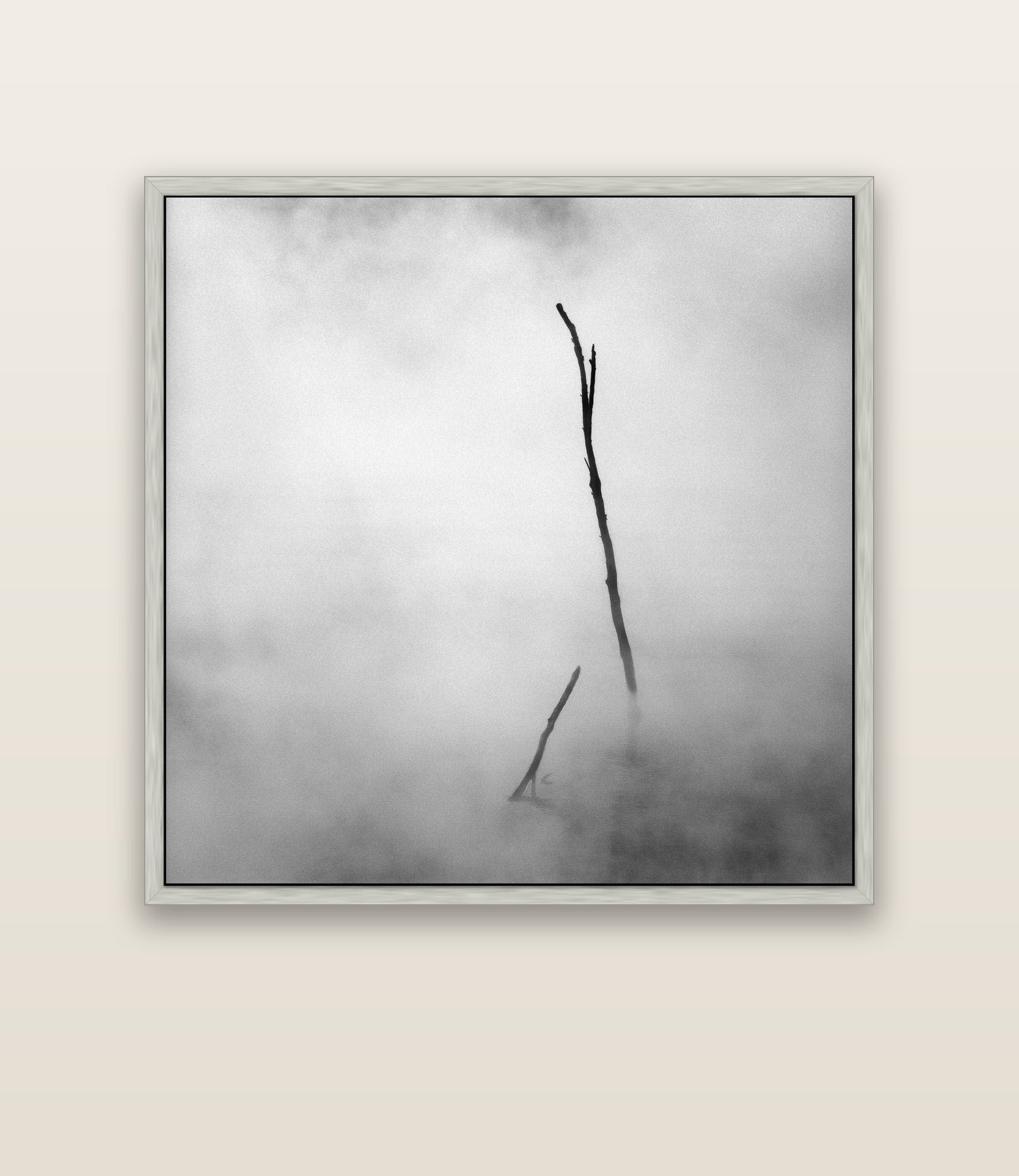 Ghostly Remains, Rotorua — silver float frame canvas, 133 × 133 cm. New Zealand fine art landscape wall art by Stephen Milner.