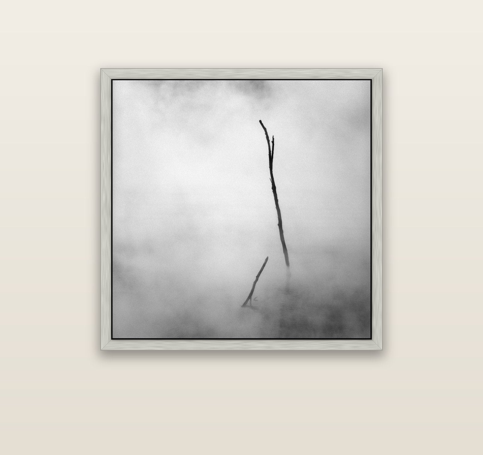 Ghostly Remains, Rotorua — silver float frame canvas, 91 × 91 cm. New Zealand fine art landscape wall art by Stephen Milner.