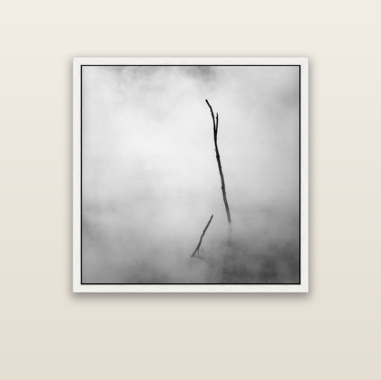 Ghostly Remains, Rotorua — white float frame canvas, 102 × 102 cm. New Zealand fine art landscape wall art by Stephen Milner.