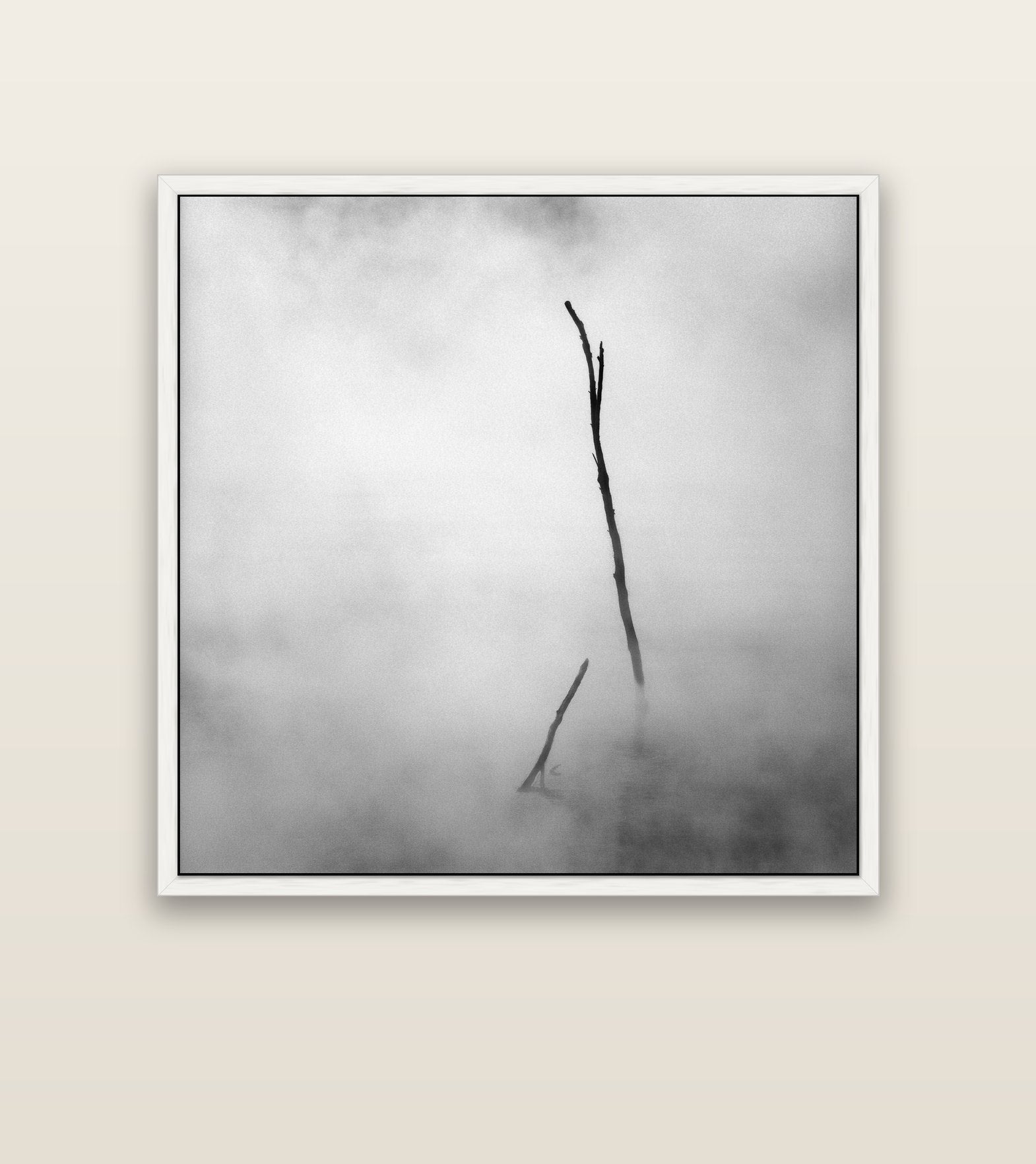 Ghostly Remains, Rotorua — white float frame canvas, 127 × 127 cm. New Zealand fine art landscape wall art by Stephen Milner.