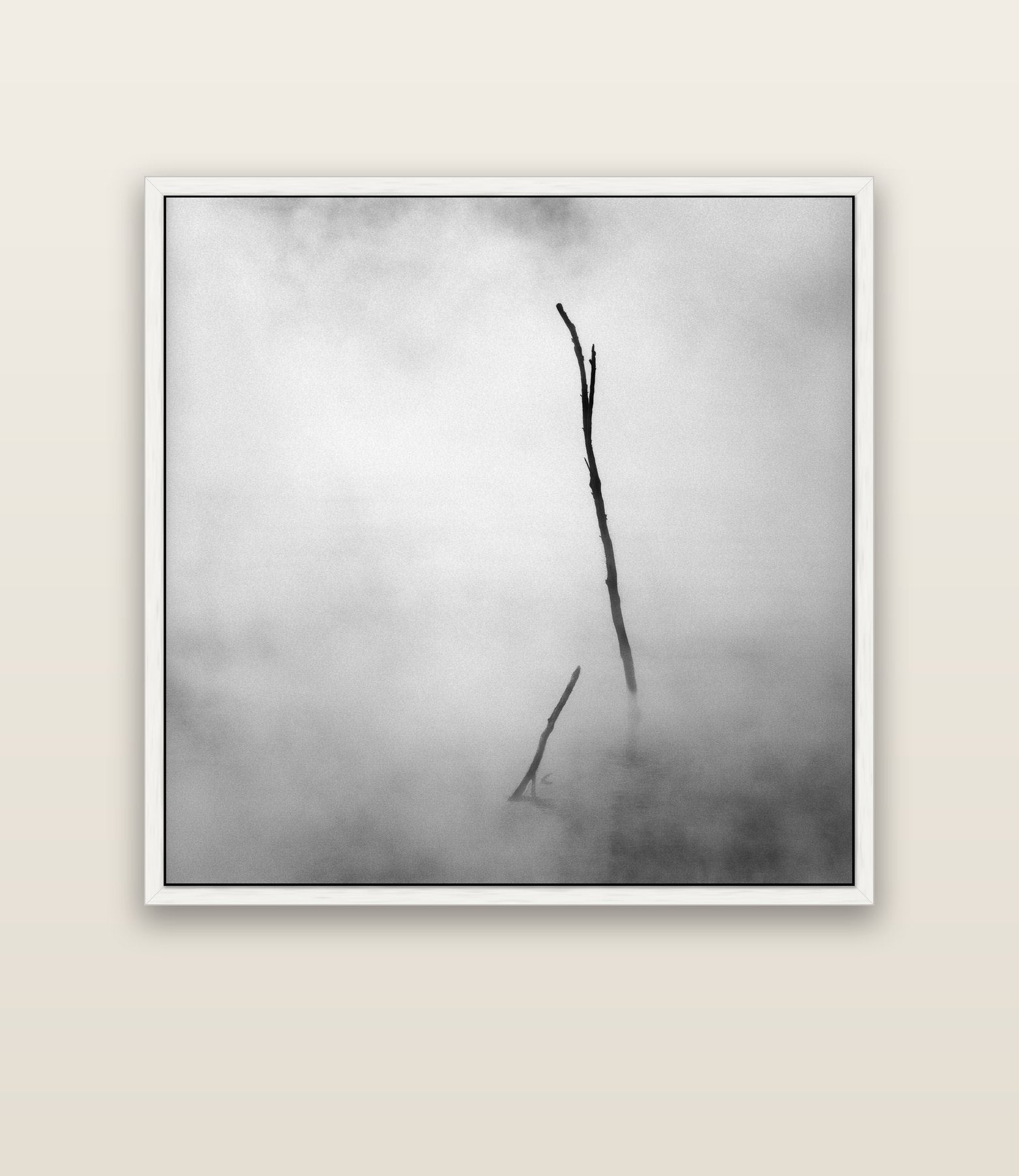 Ghostly Remains, Rotorua — white float frame canvas, 133 × 133 cm. New Zealand fine art landscape wall art by Stephen Milner.
