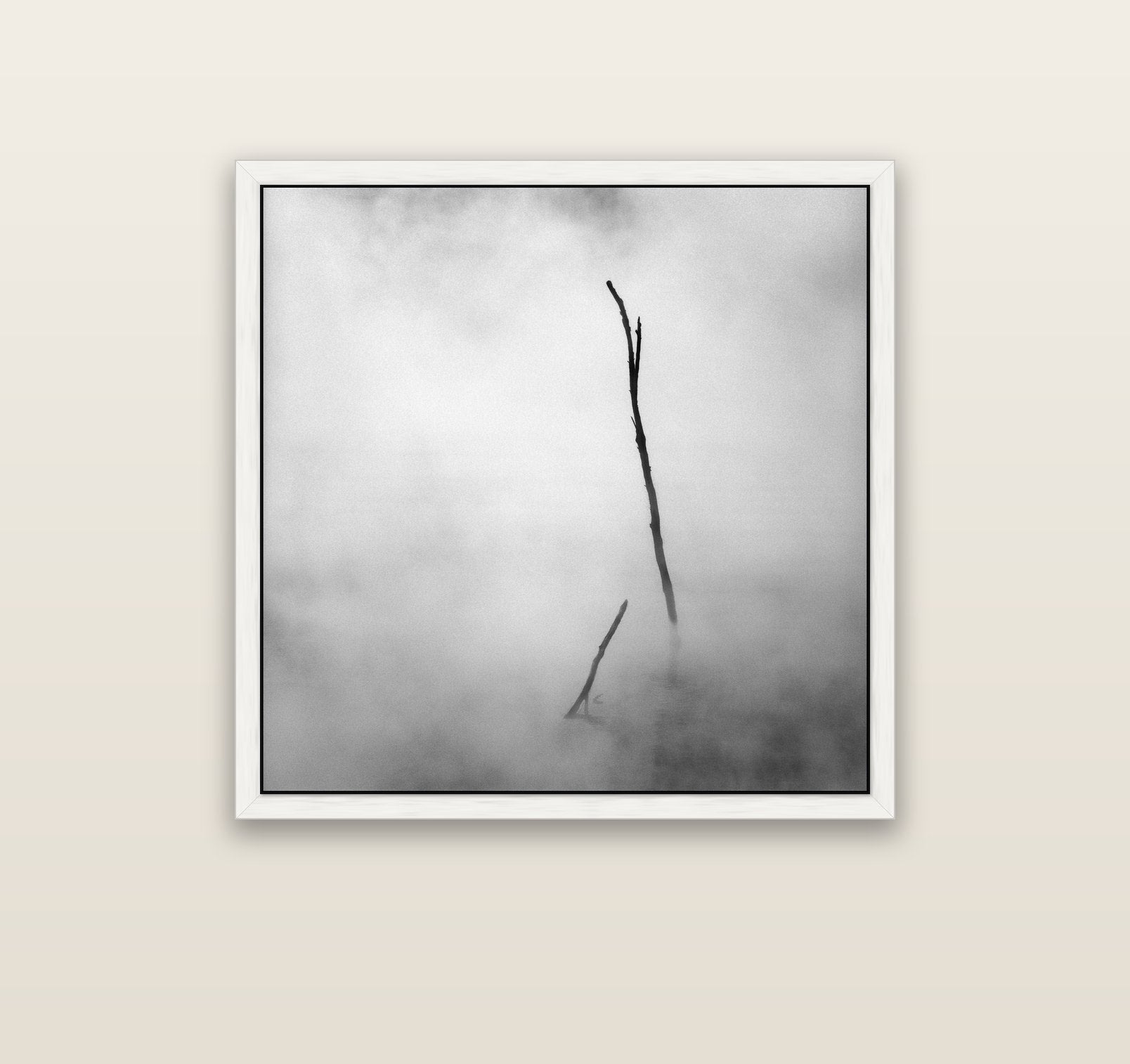 Ghostly Remains, Rotorua — white float frame canvas, 91 × 91 cm. New Zealand fine art landscape wall art by Stephen Milner.
