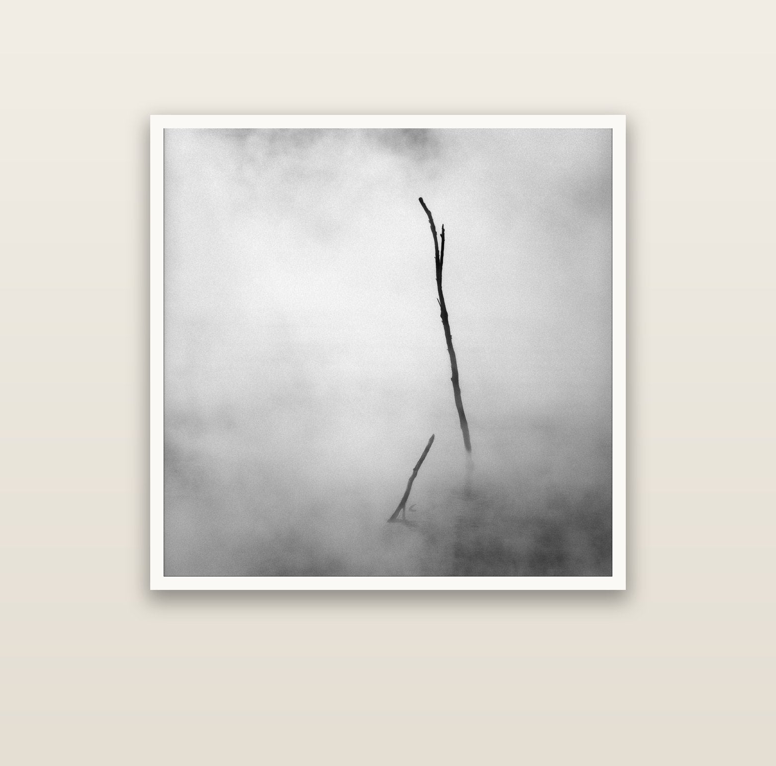 Ghostly Remains, Rotorua — Hahnemühle fine art print, 100 × 100 cm. New Zealand fine art landscape photography by Stephen Milner.