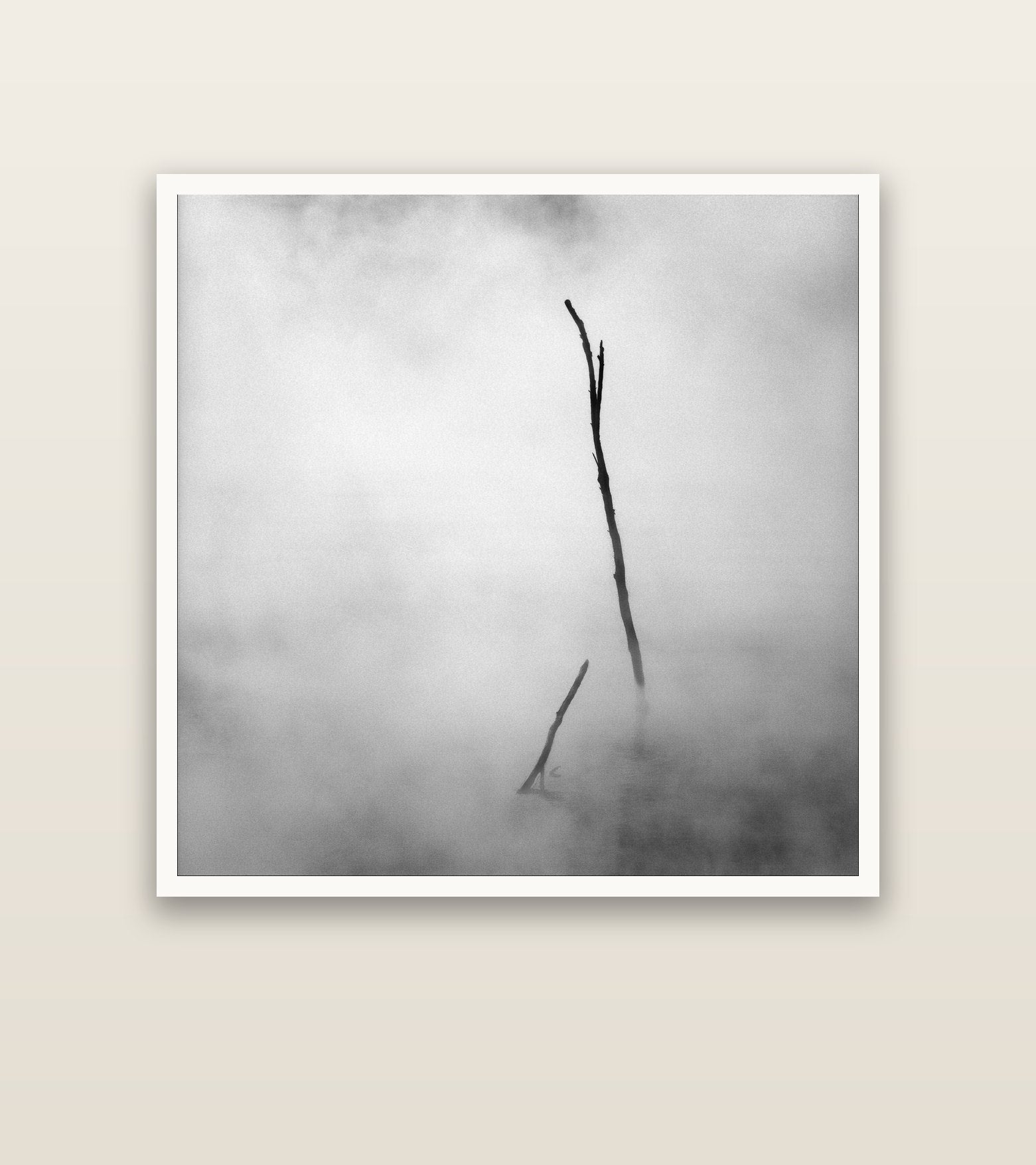 Ghostly Remains, Rotorua — Hahnemühle fine art print, 127 × 127 cm. New Zealand fine art landscape photography by Stephen Milner.