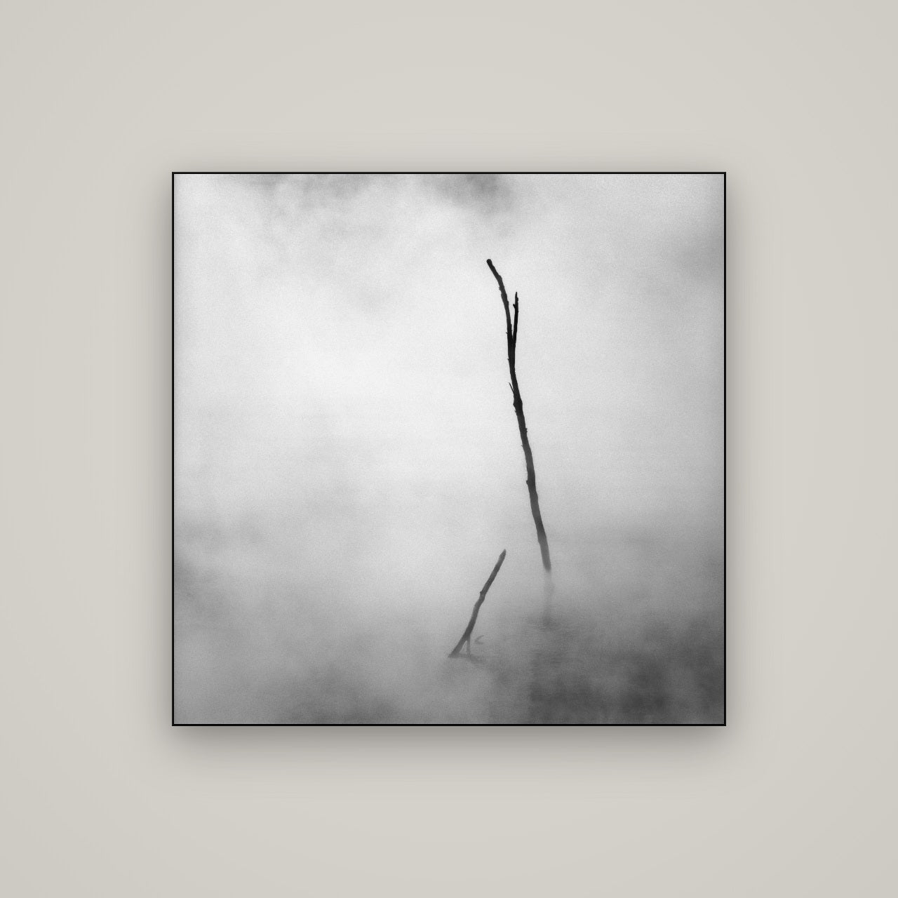 Ghostly Remains, Rotorua — Slimline Black, 100×100 cm. New Zealand fine art wall art by Stephen Milner.