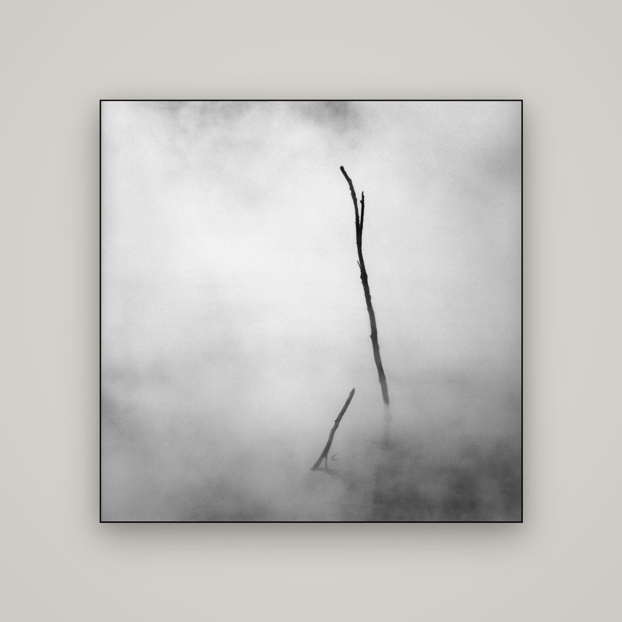 Ghostly Remains, Rotorua — Slimline Black, 120×120 cm. New Zealand fine art wall art by Stephen Milner.