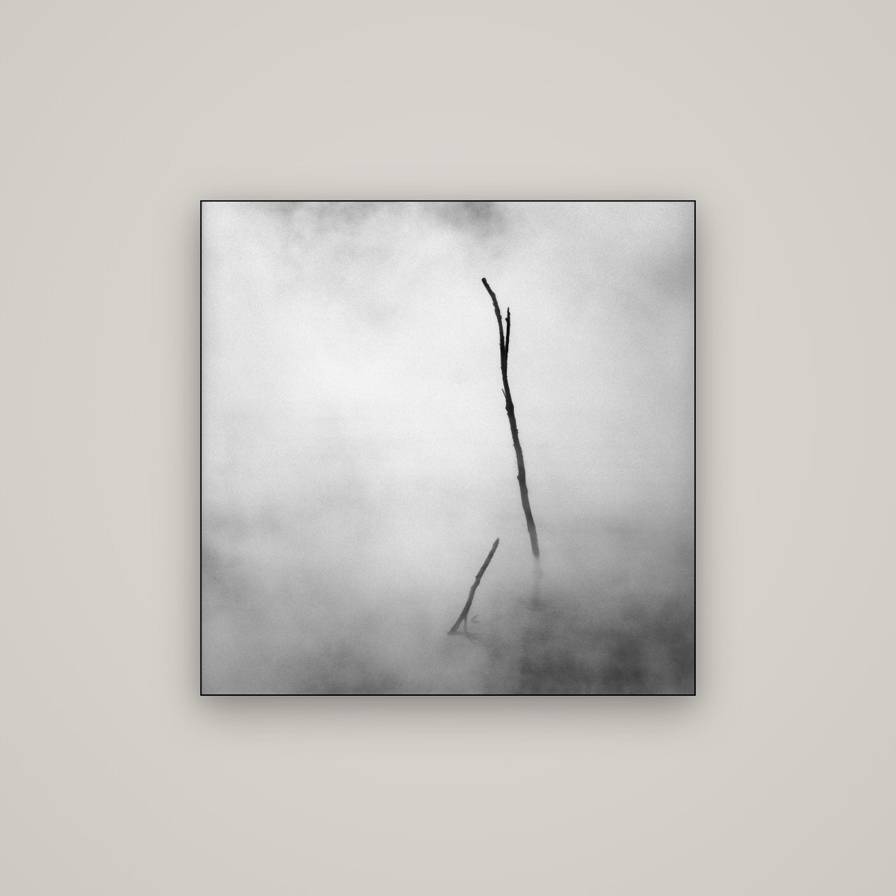Ghostly Remains, Rotorua — Slimline Black, 80×80 cm. New Zealand fine art wall art by Stephen Milner.