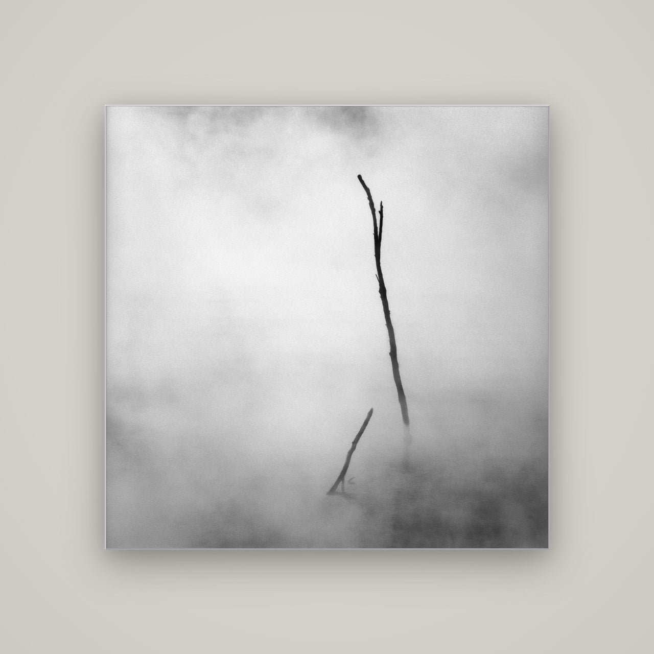 Ghostly Remains, Rotorua — Slimline Silver, 120×120 cm. New Zealand fine art wall art by Stephen Milner.