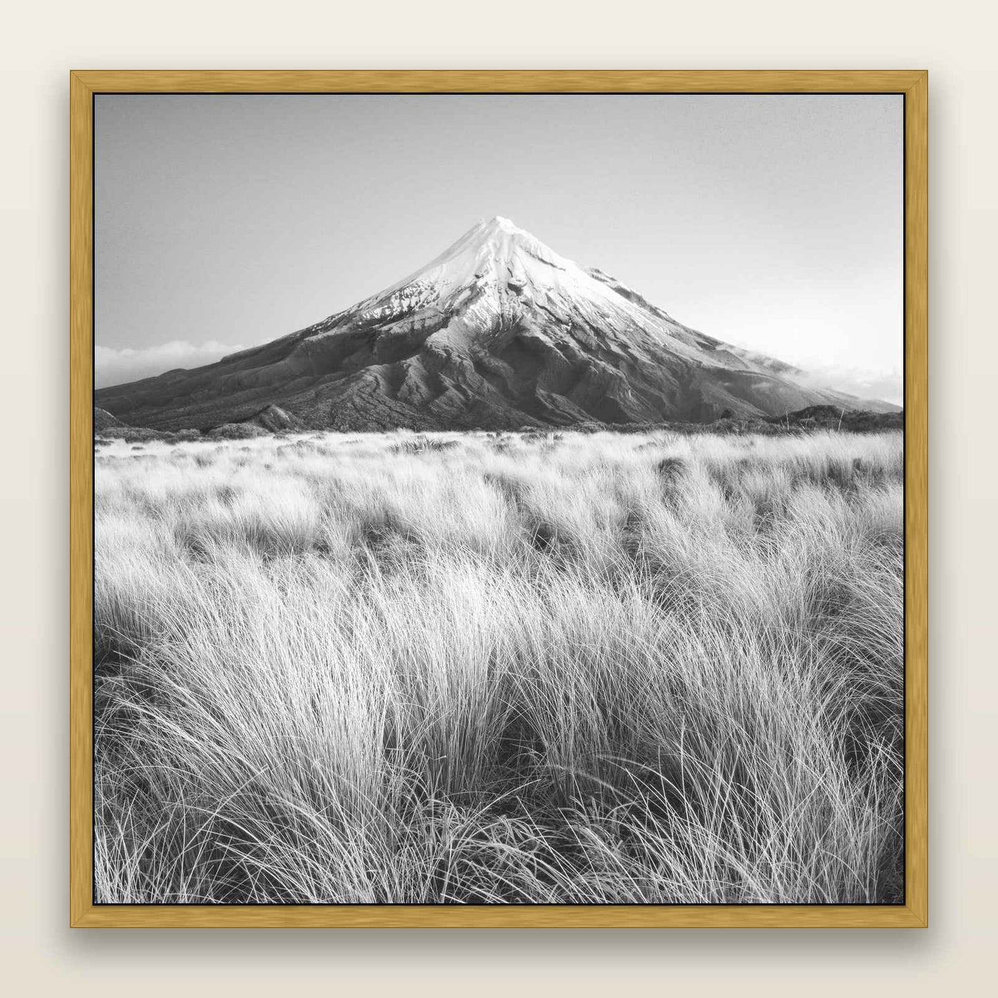 Silent Point, Mount Taranaki, black and white framed metallic canvas print, Antique Gold frame. New Zealand fine art wall art by Stephen Milner.