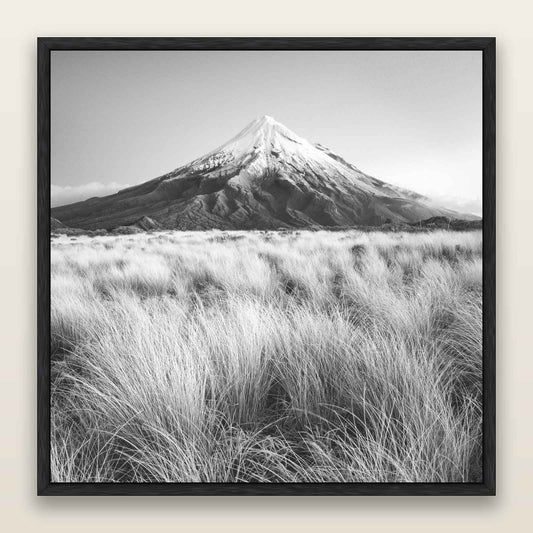Silent Point, Mount Taranaki, black and white framed metallic canvas print, Black frame. New Zealand fine art wall art by Stephen Milner.