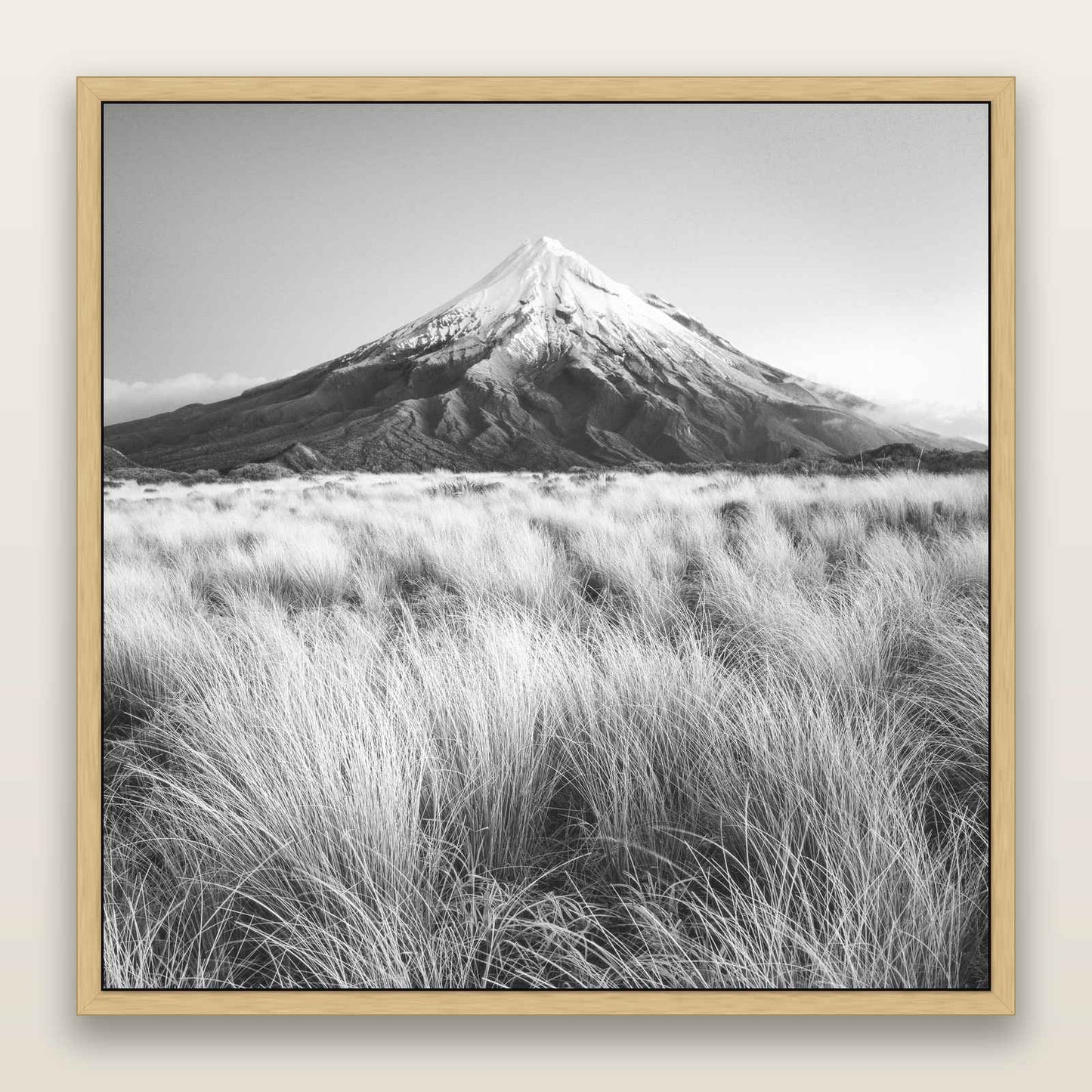 Silent Point, Mount Taranaki, black and white framed metallic canvas print, Natural frame. New Zealand fine art wall art by Stephen Milner.