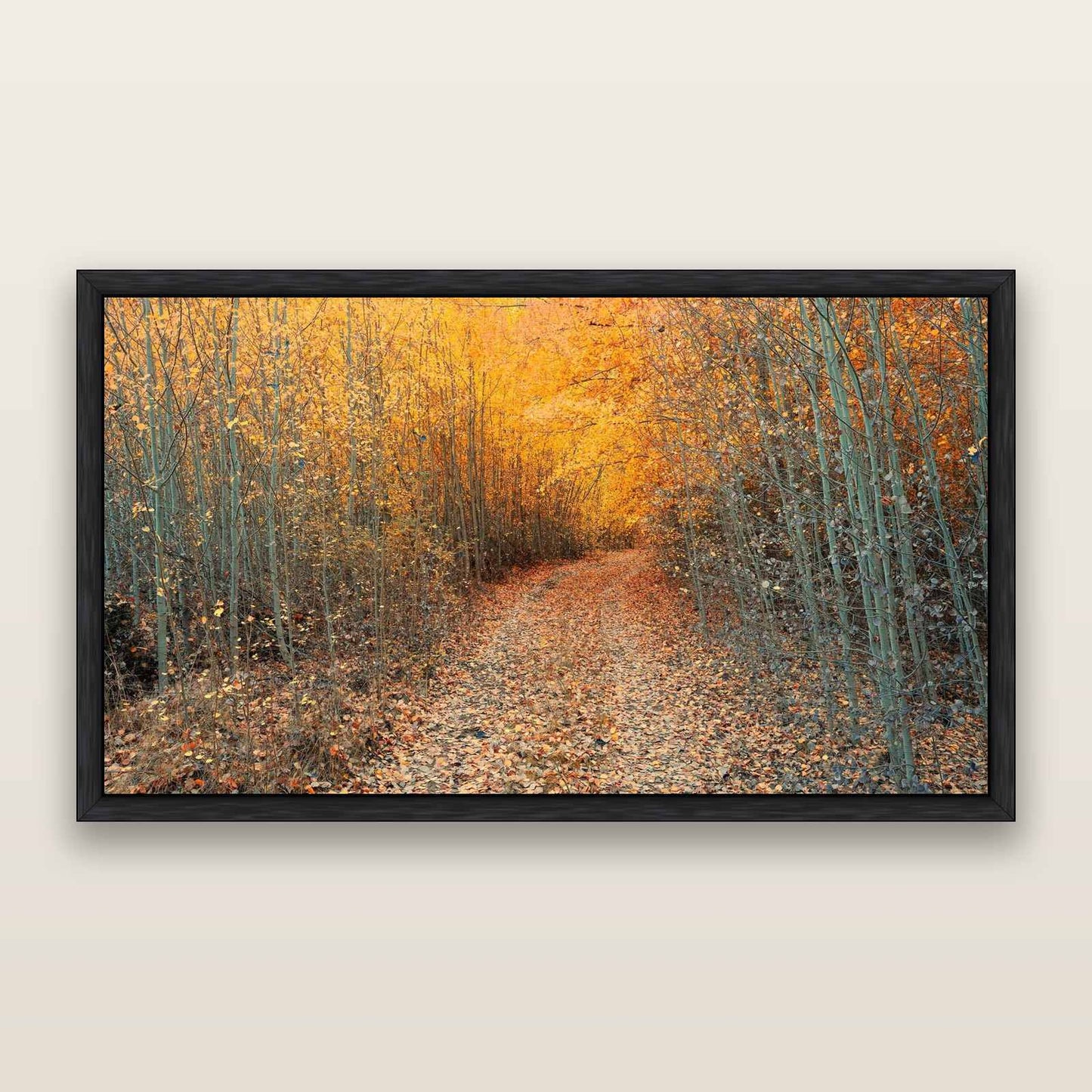 Golden Trails, Mackenzie Country — framed metallic canvas print, Black frame. New Zealand fine art landscape wall art by Stephen Milner.