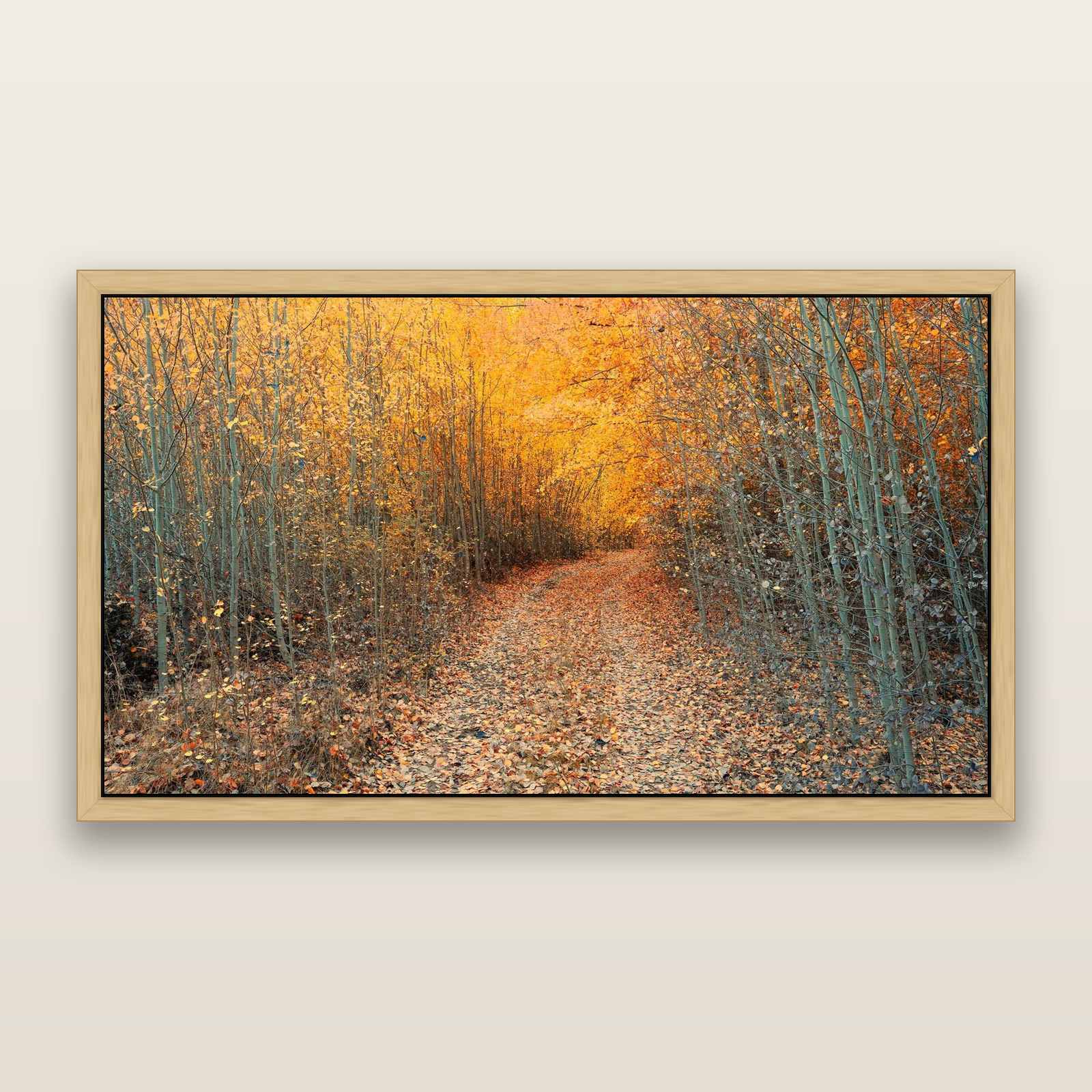 Golden Trails, Mackenzie Country — framed metallic canvas print, Natural frame. New Zealand fine art landscape wall art by Stephen Milner.